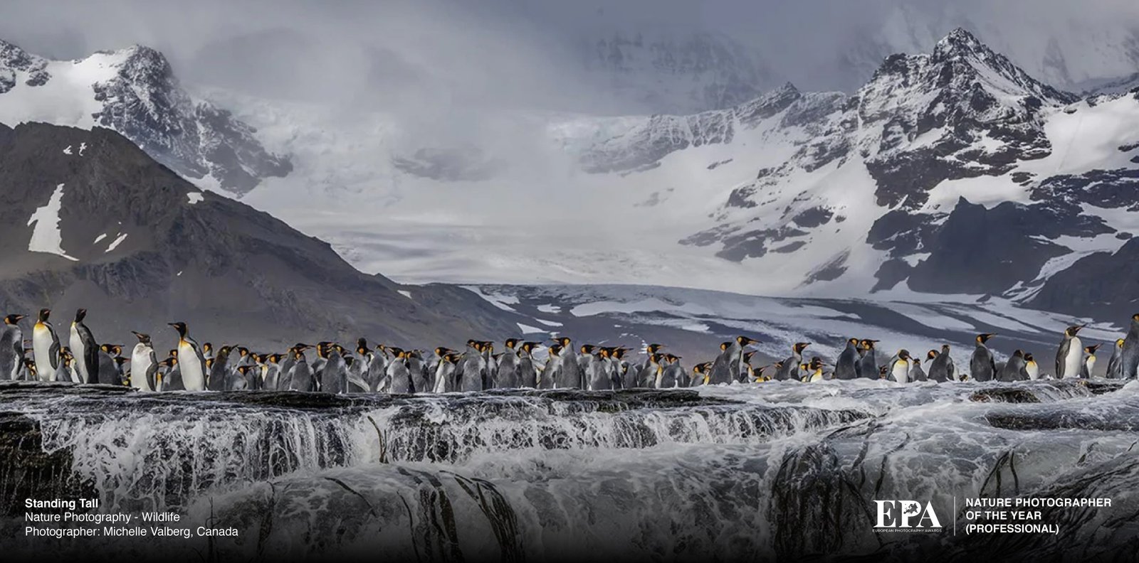 Nature Photography of the Year 2026