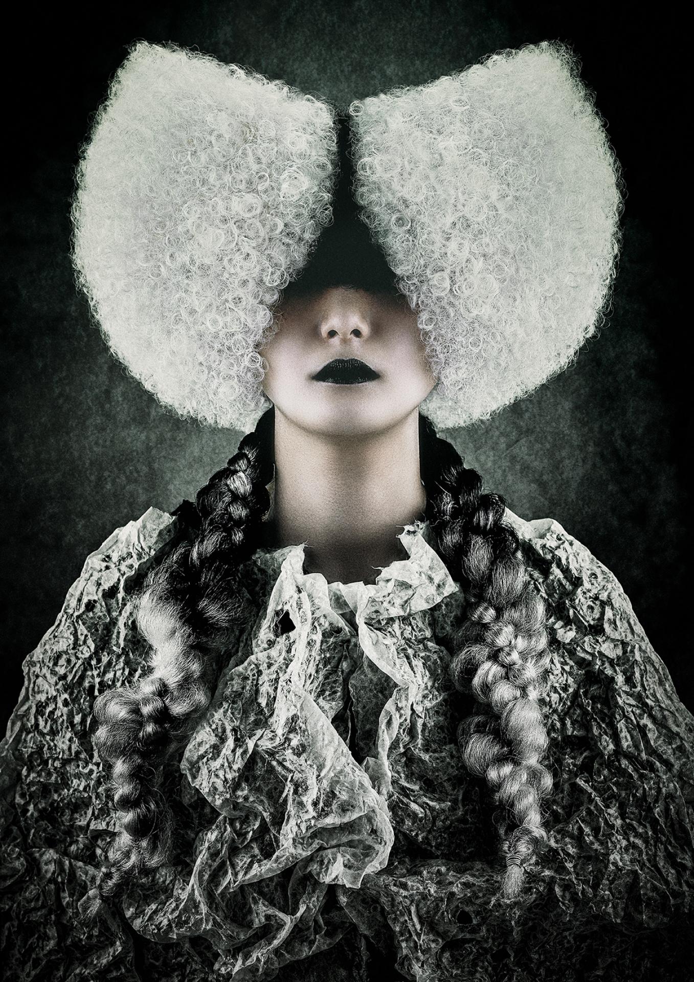 European Photography Awards Winner - The Moth