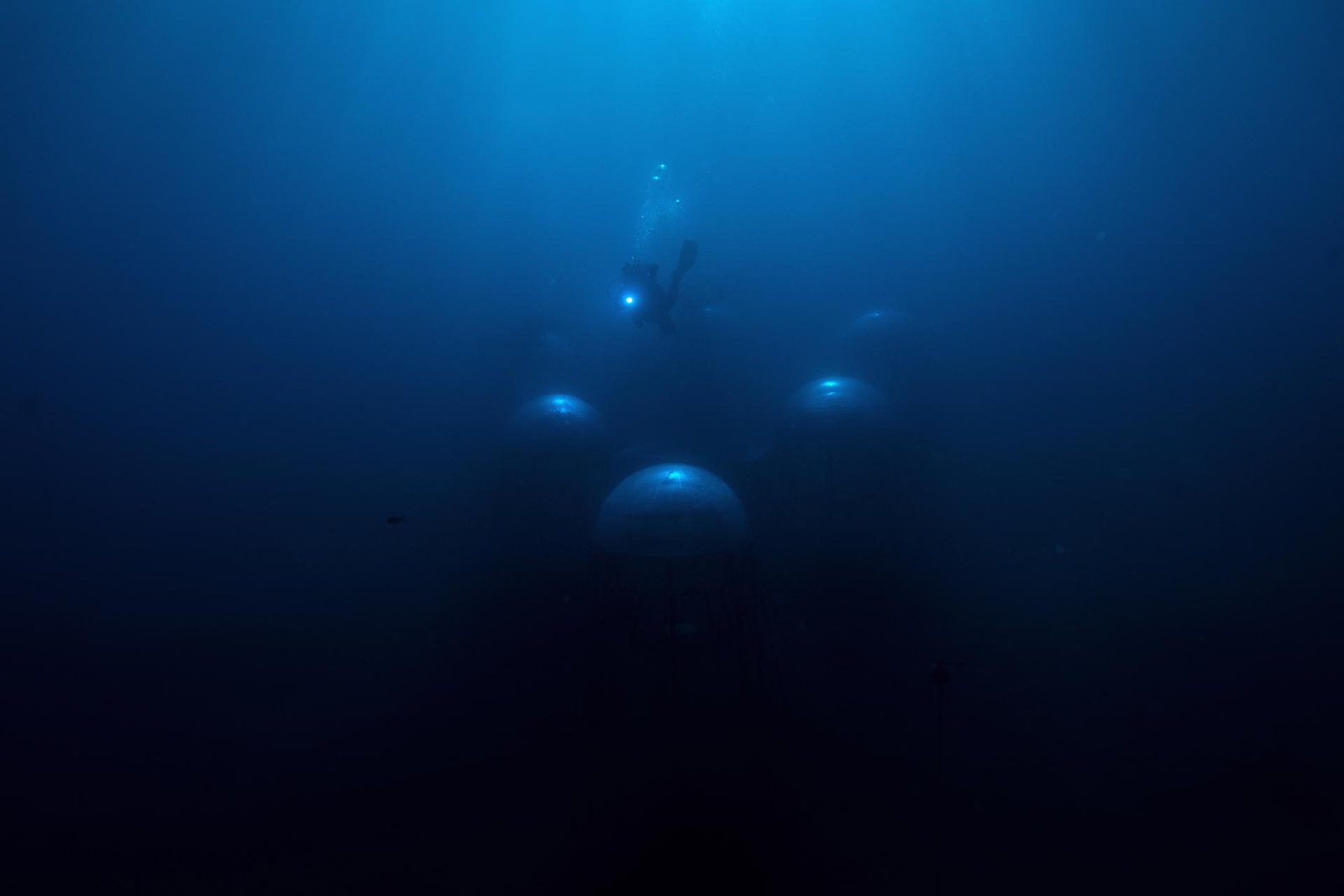 European Photography Awards Winner - Nemo's Garden