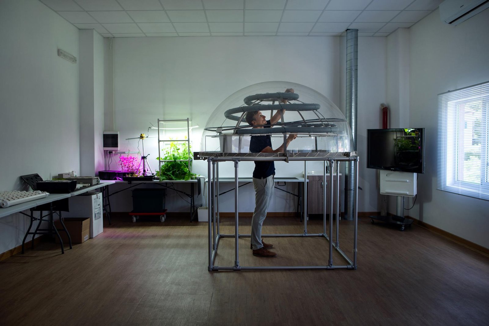 European Photography Awards Winner - Nemo's Garden