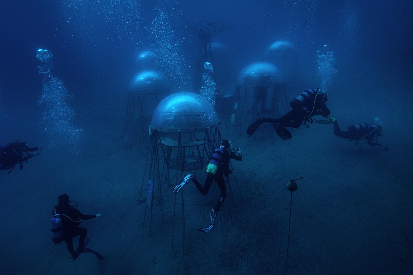 European Photography Awards Winner - Nemo's Garden