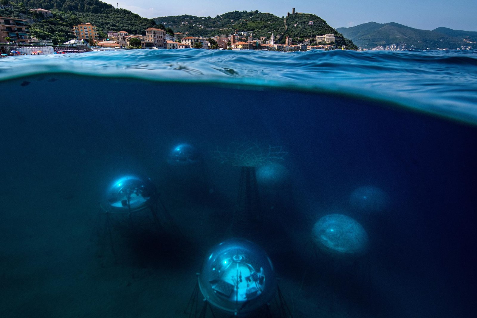 European Photography Awards Winner - Nemo's Garden