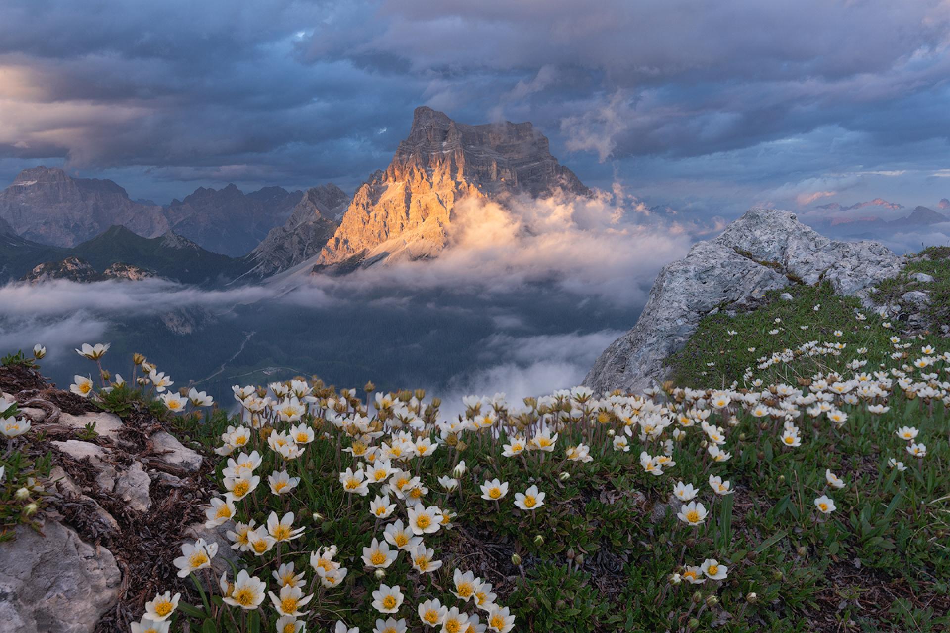 European Photography Awards Winner - Enchantment