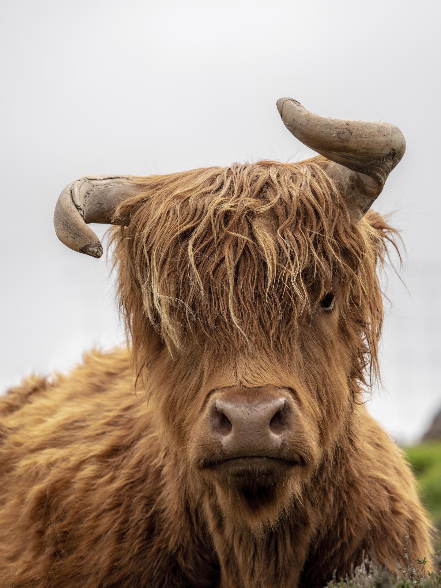 European Photography Awards Winner - Madcow