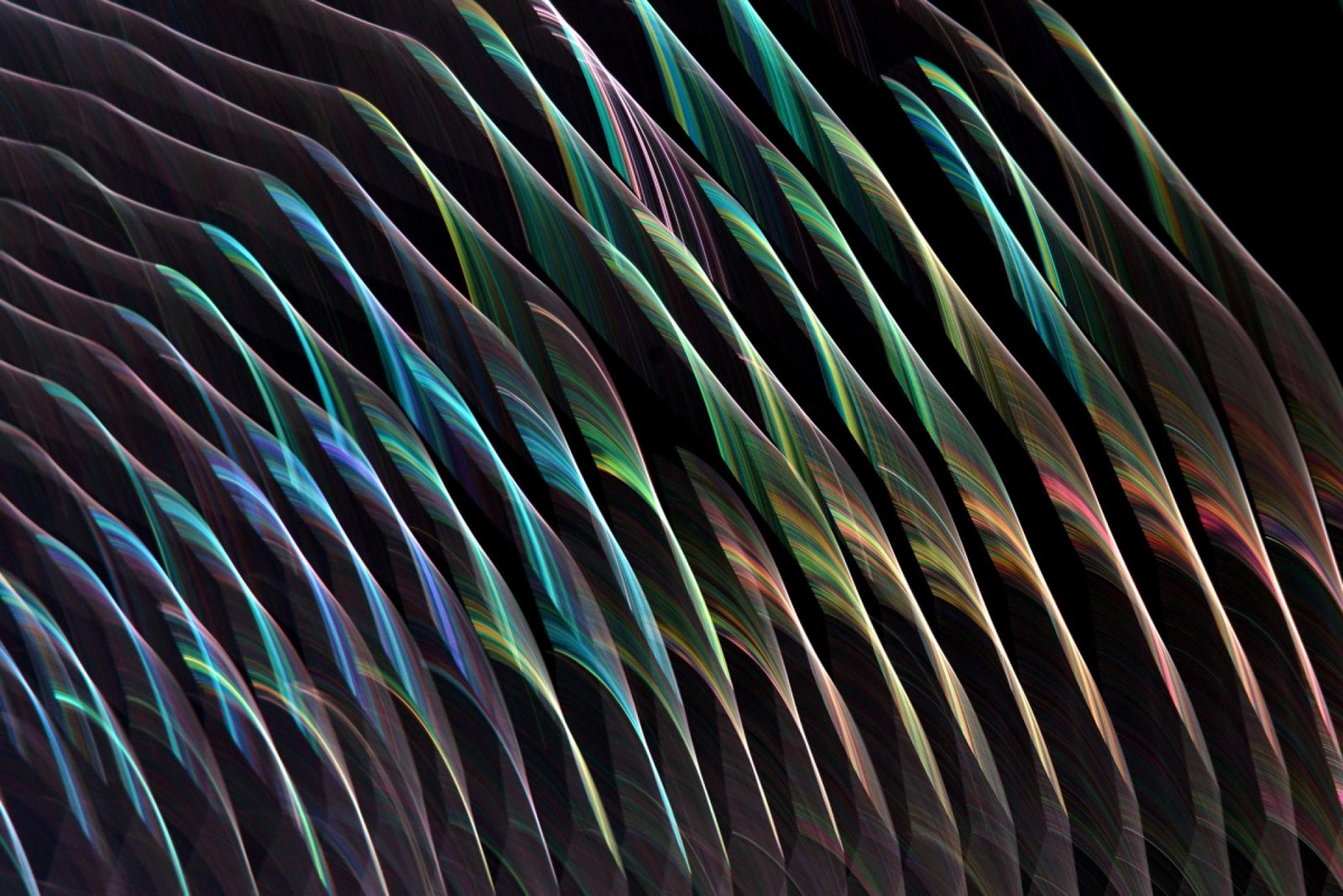European Photography Awards Winner - Light and Webs