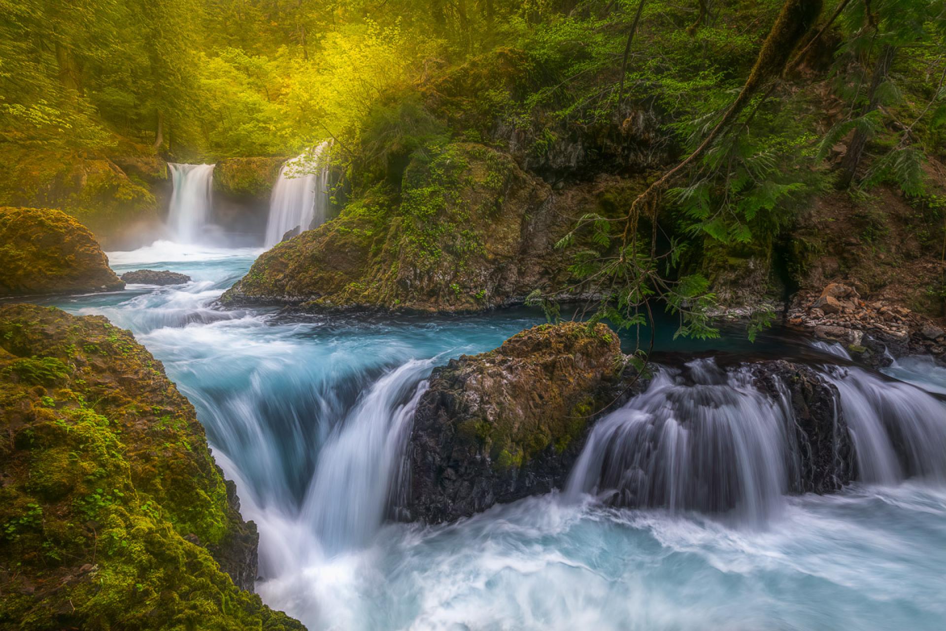 European Photography Awards Winner - Enchanted