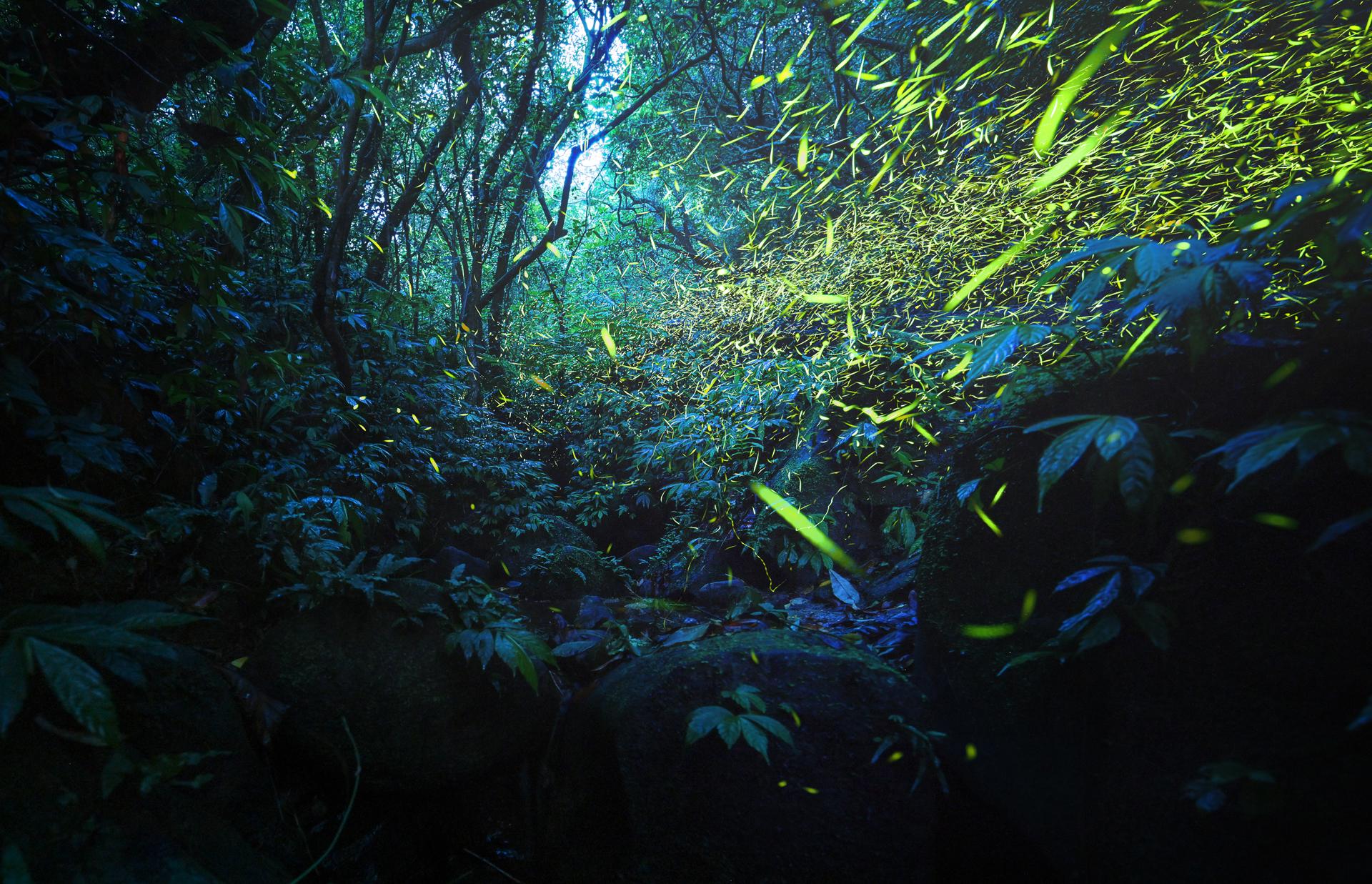 European Photography Awards Winner - Beautiful Badouzi -1