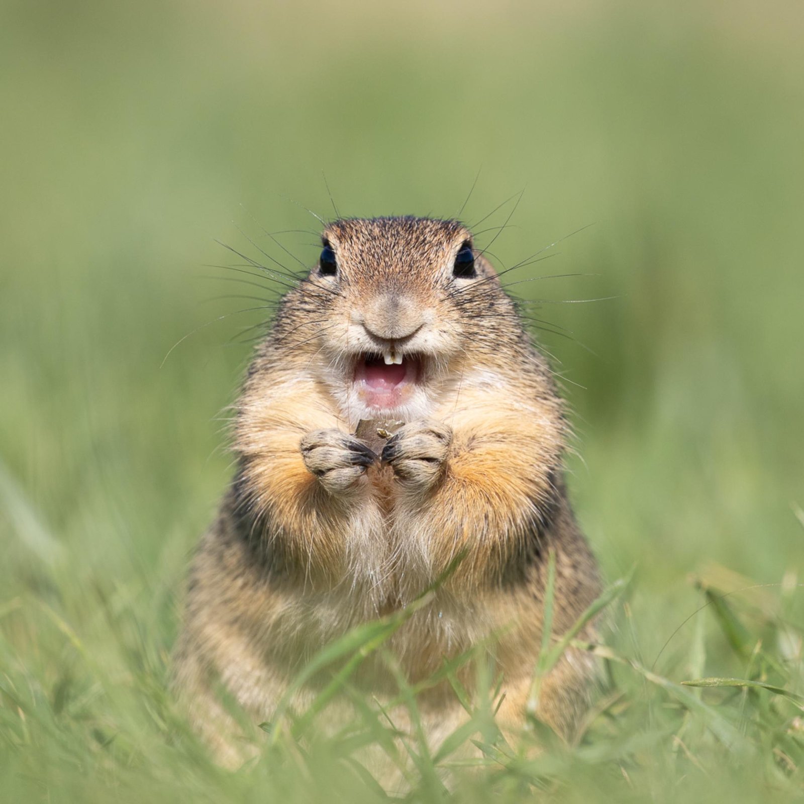 European Photography Awards Winner - Happy guy