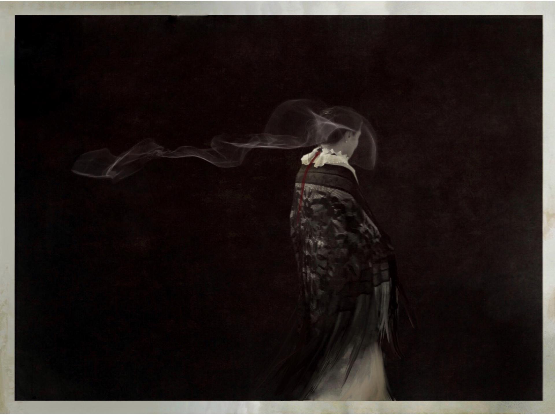 European Photography Awards Winner - The Anatomy of Love 