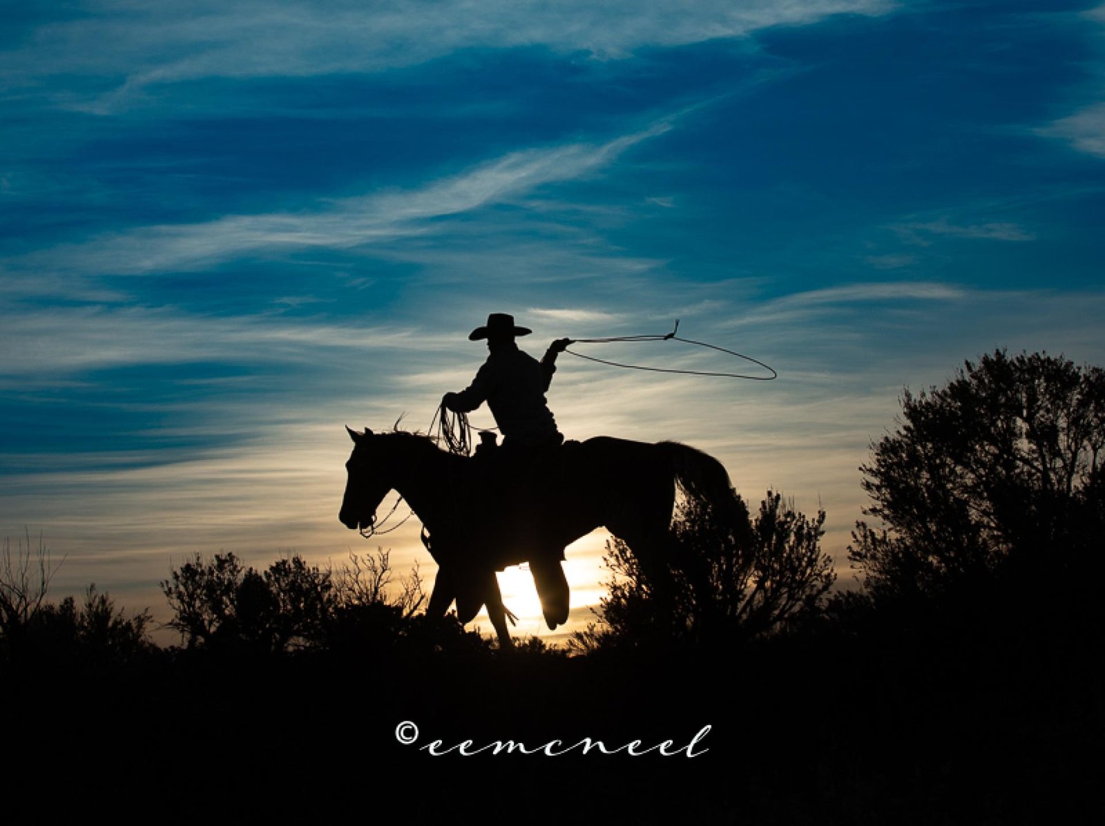 European Photography Awards Winner - Git Along Lil' Doggies, the Day is Not Done!