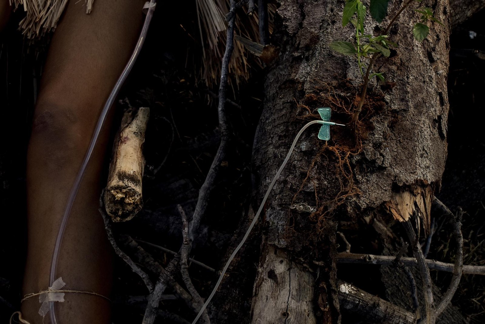 European Photography Awards Winner - Anthropogenic