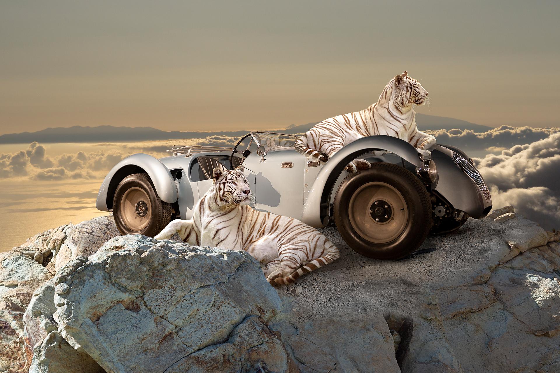 European Photography Awards Winner - Uncharted Heights