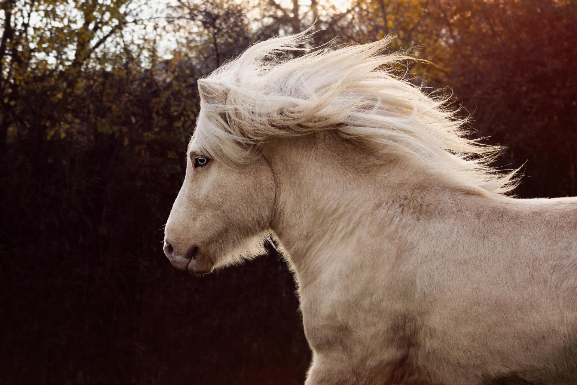 European Photography Awards Winner - a soul of fire & ice