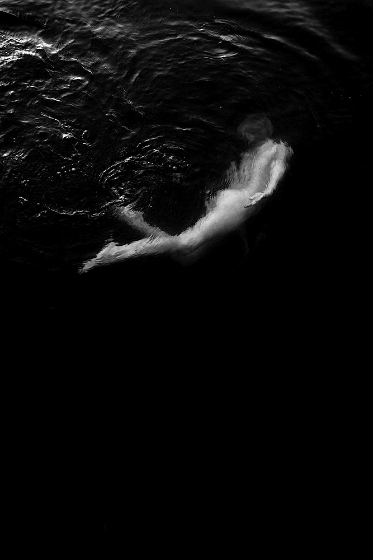 European Photography Awards Winner - Before they go