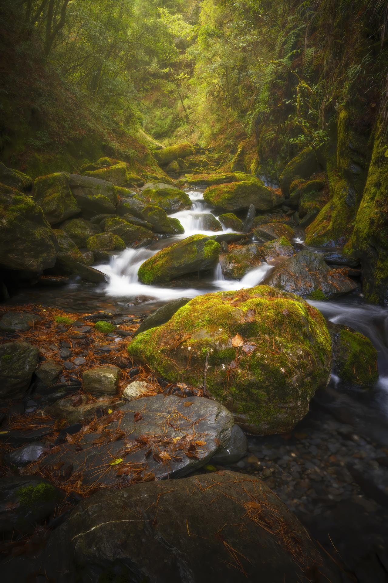 European Photography Awards Winner - Autumn