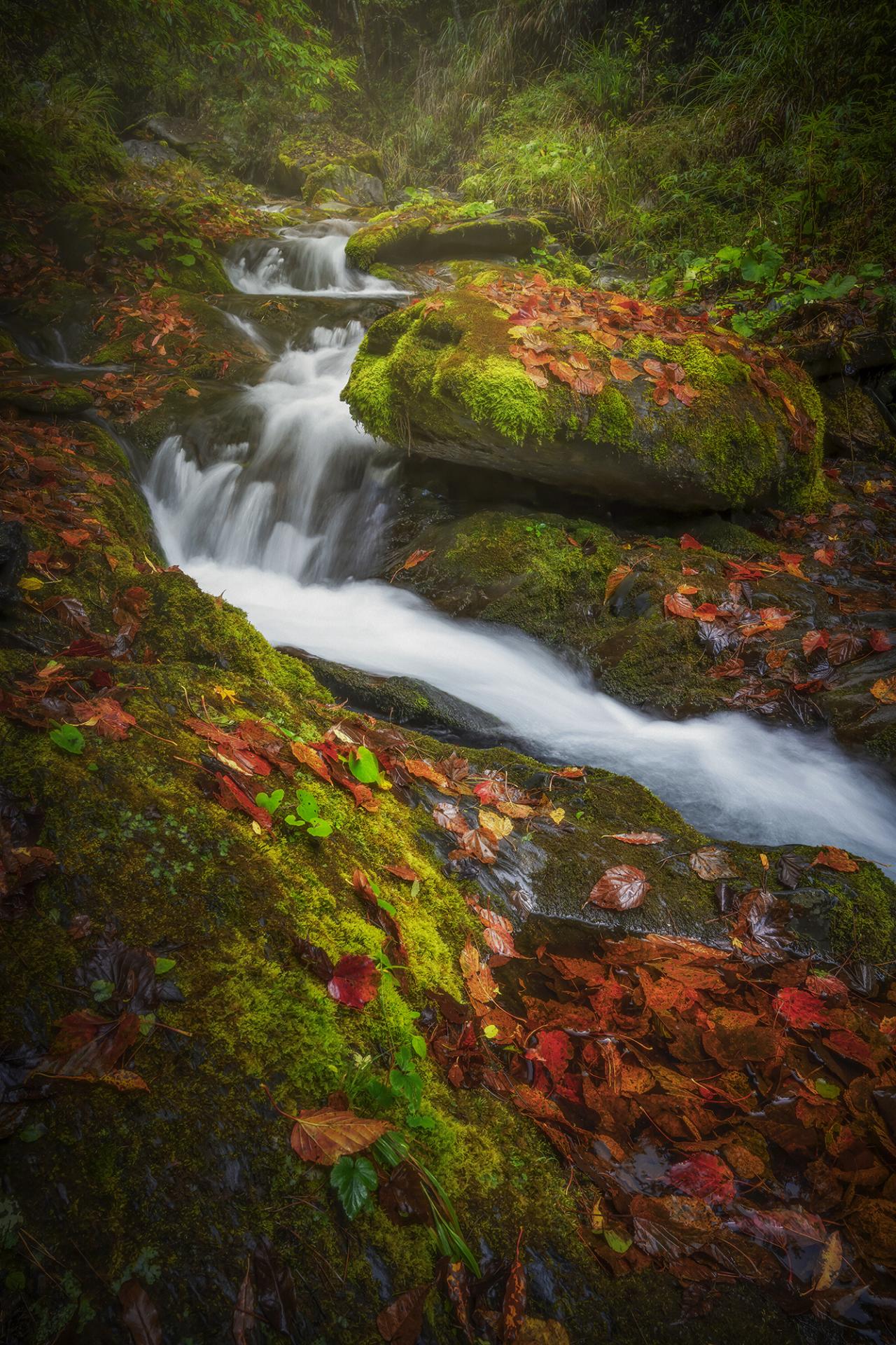 European Photography Awards Winner - Autumn