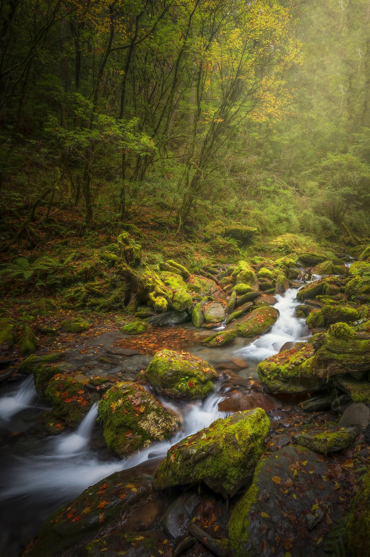 European Photography Awards Winner - Autumn