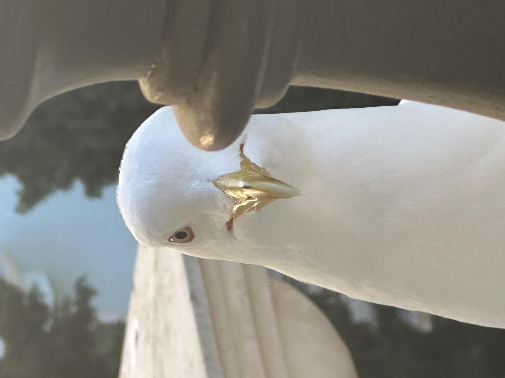 European Photography Awards Winner - Inspiration