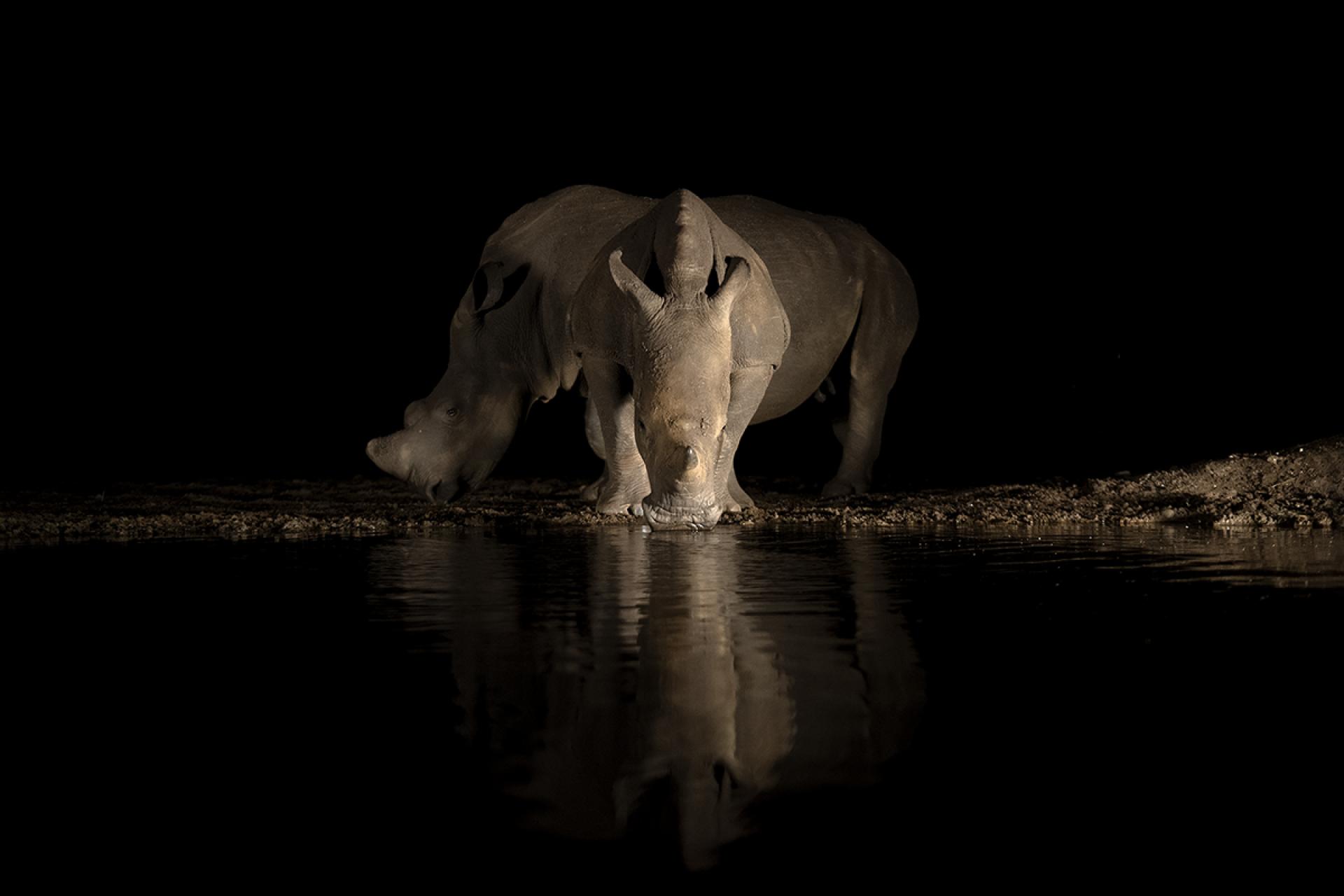 European Photography Awards Winner - Midnight Drink