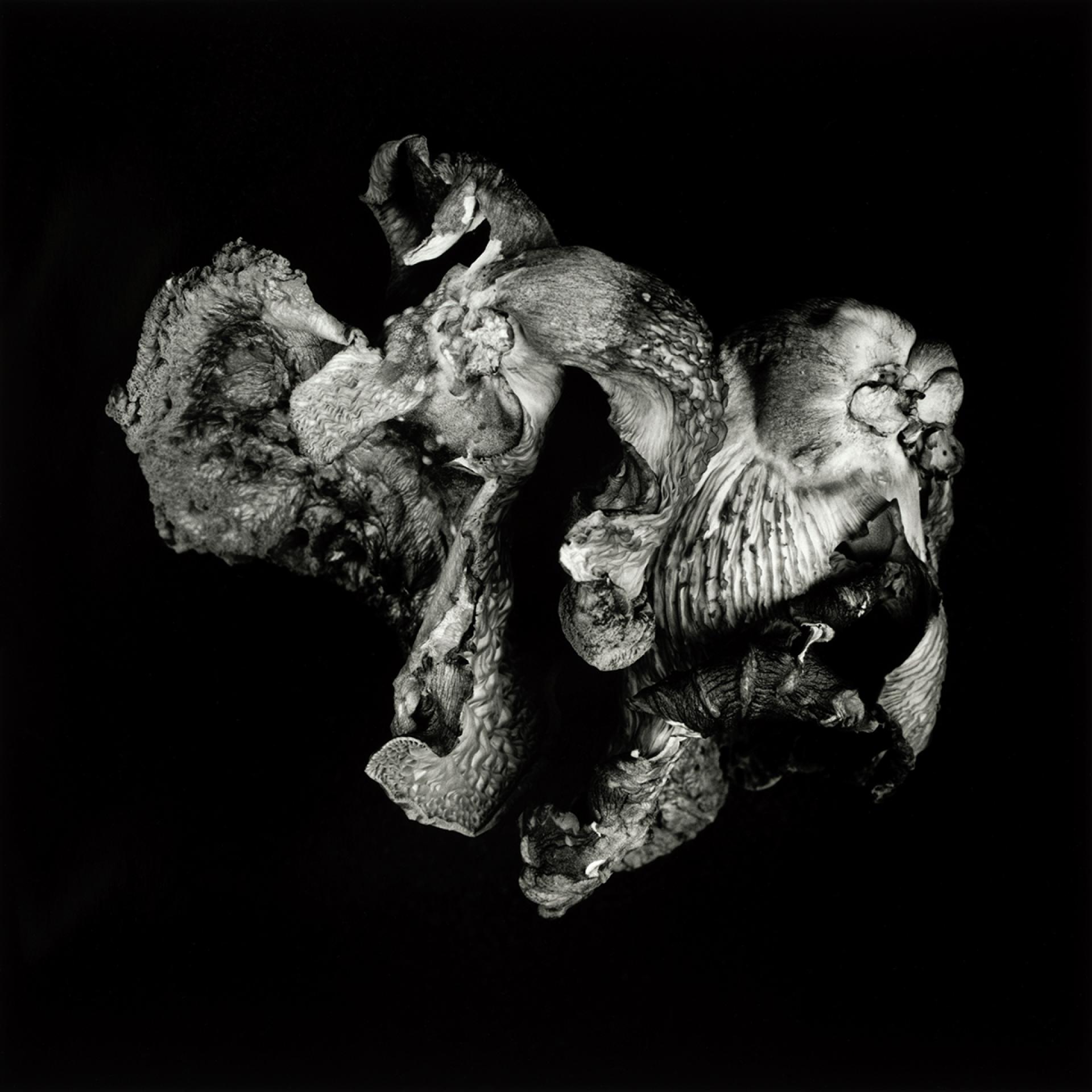 European Photography Awards Winner - Poetic