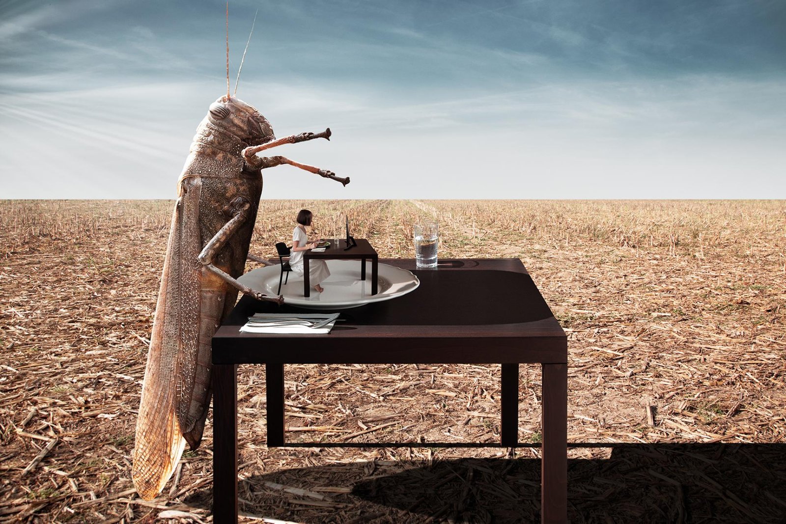 European Photography Awards Winner - Novum Cibum (New Food)