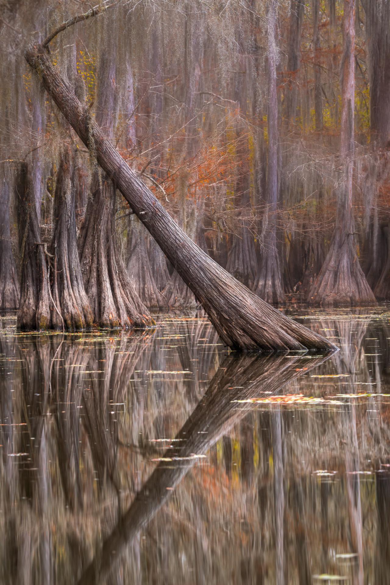 European Photography Awards Winner - Pastel Reflection