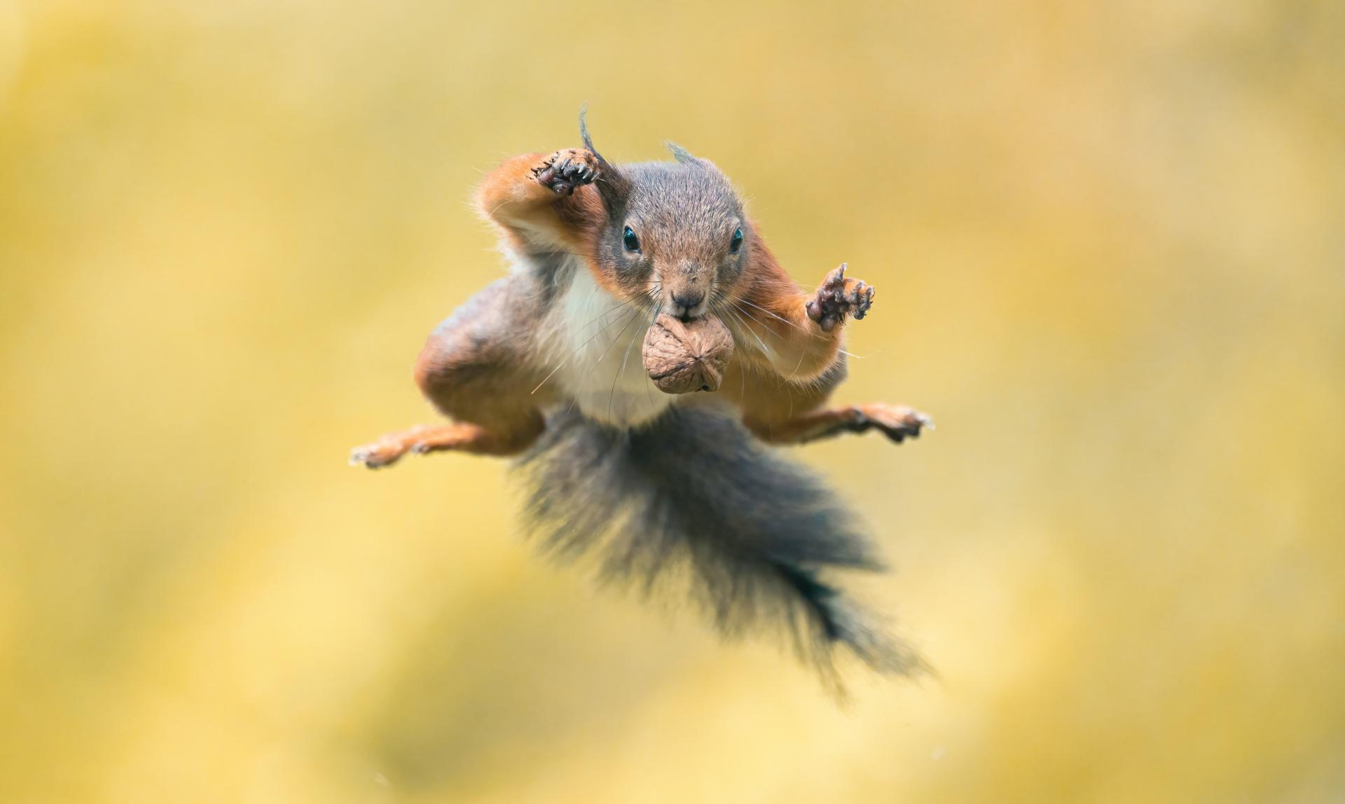 European Photography Awards Winner - Super Hero 