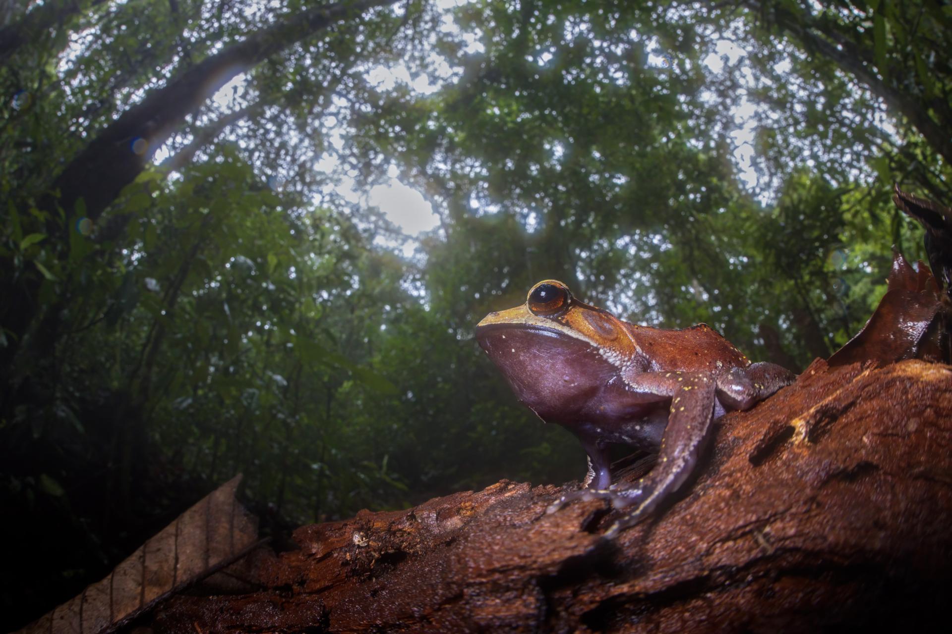 European Photography Awards Winner - My Wolrd
