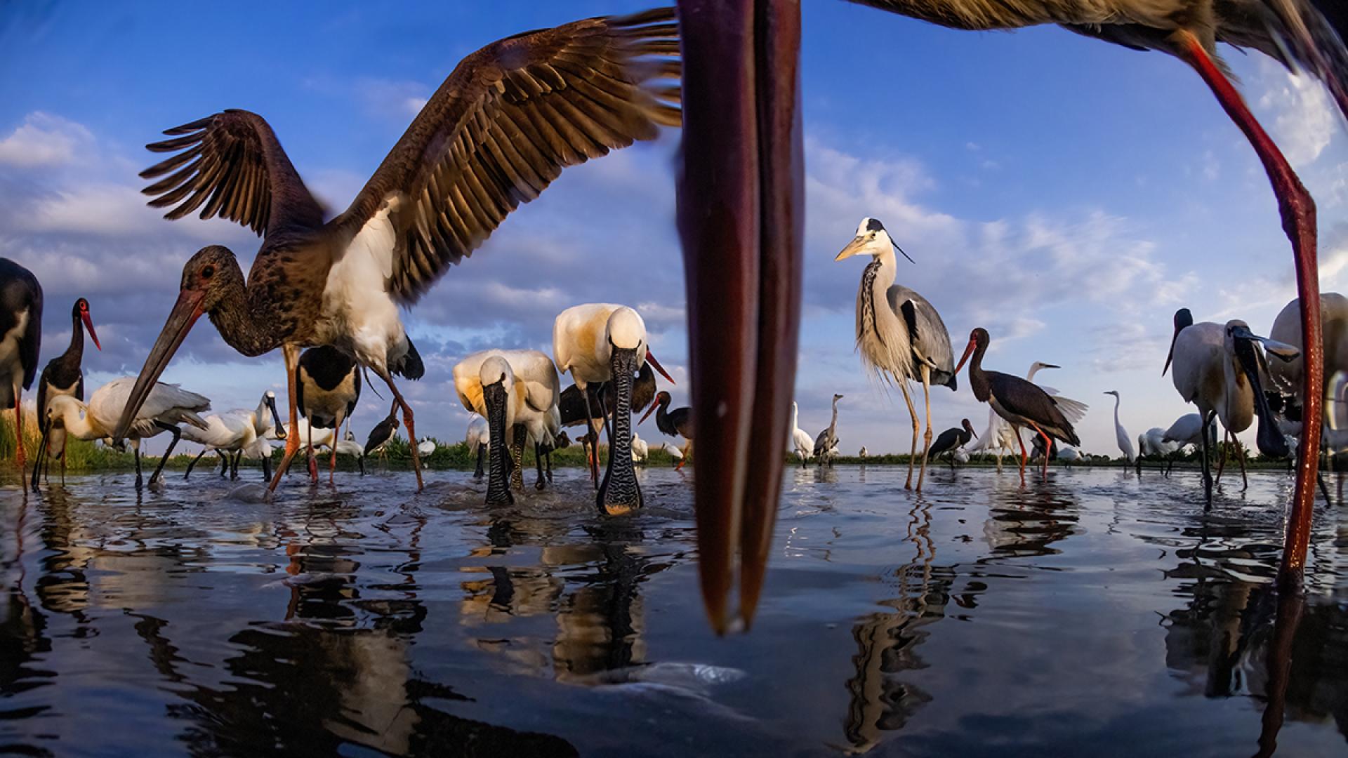 European Photography Awards Winner - By The Lake