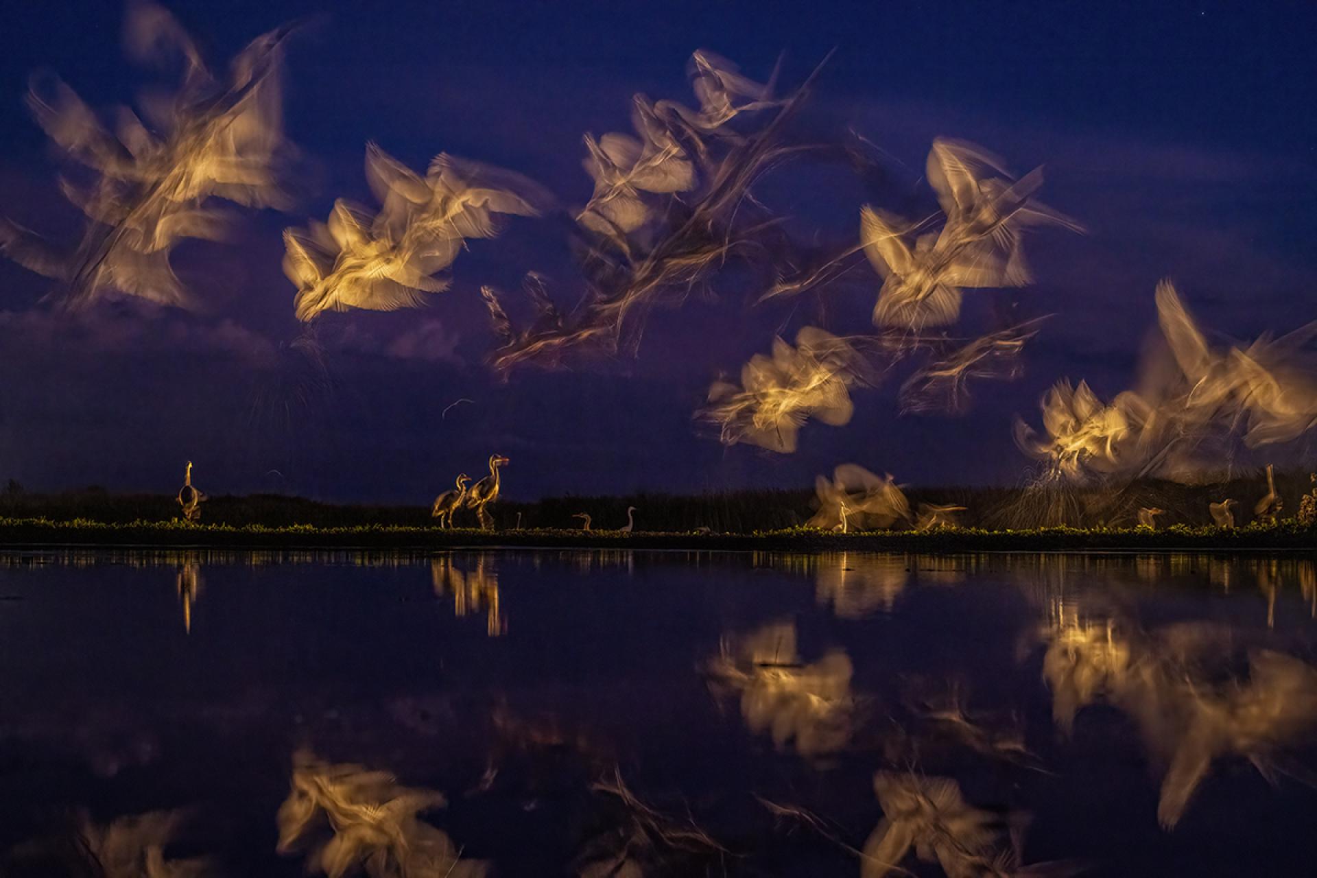 European Photography Awards Winner - By The Lake