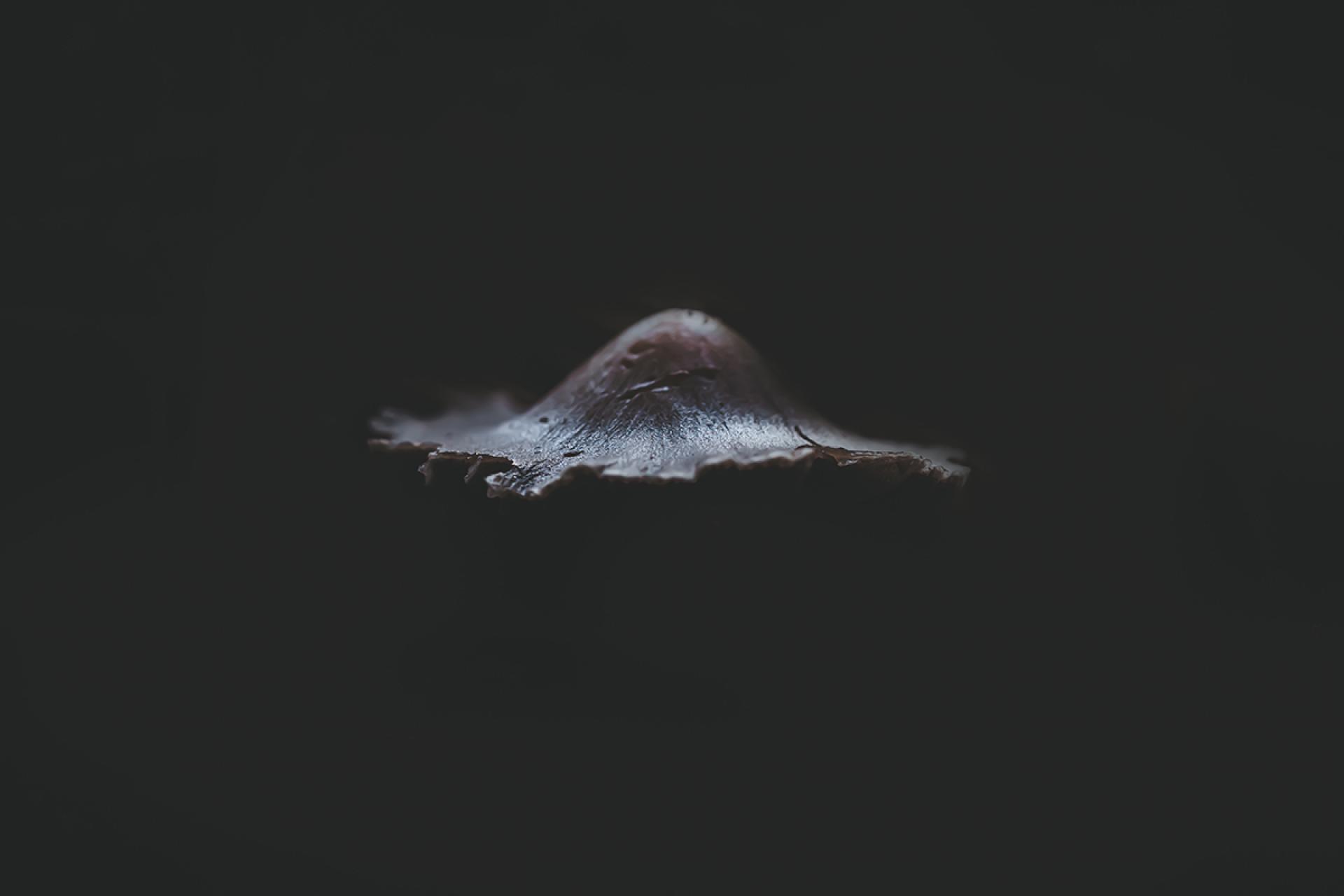 European Photography Awards Winner - Float