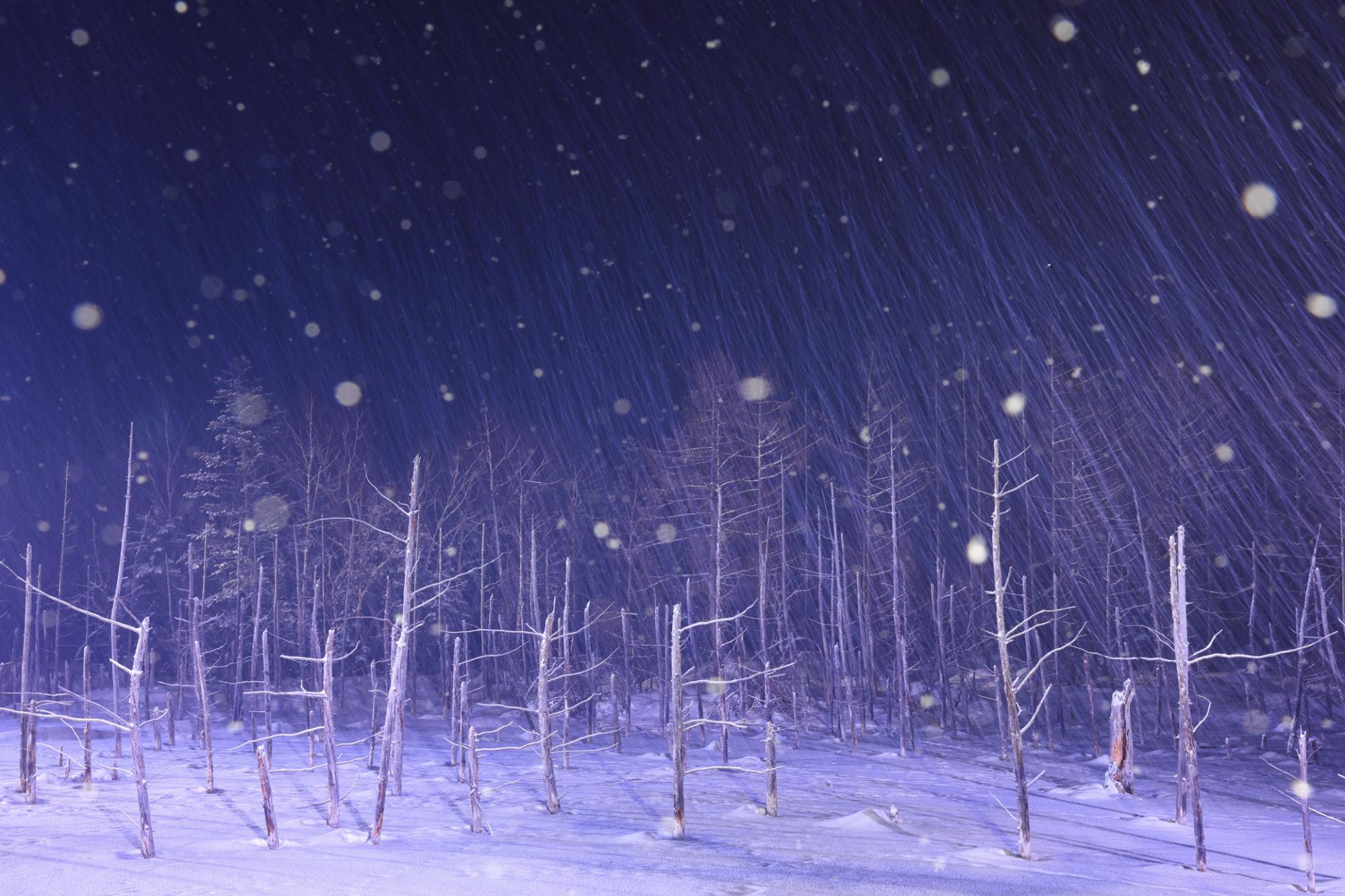 European Photography Awards Winner - Dreamy winter in japan