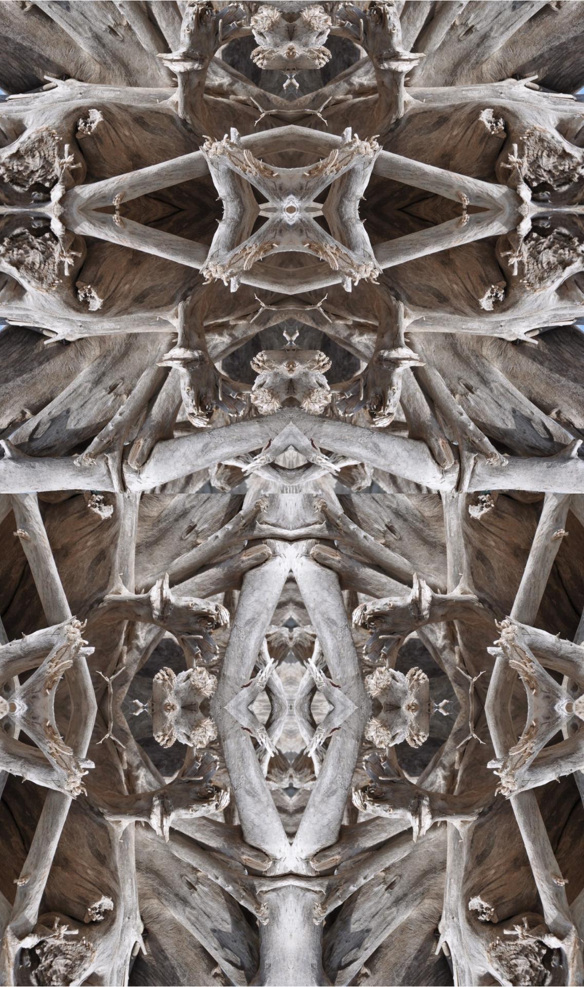 European Photography Awards Winner - FIGURES TOTÉMIQUES
