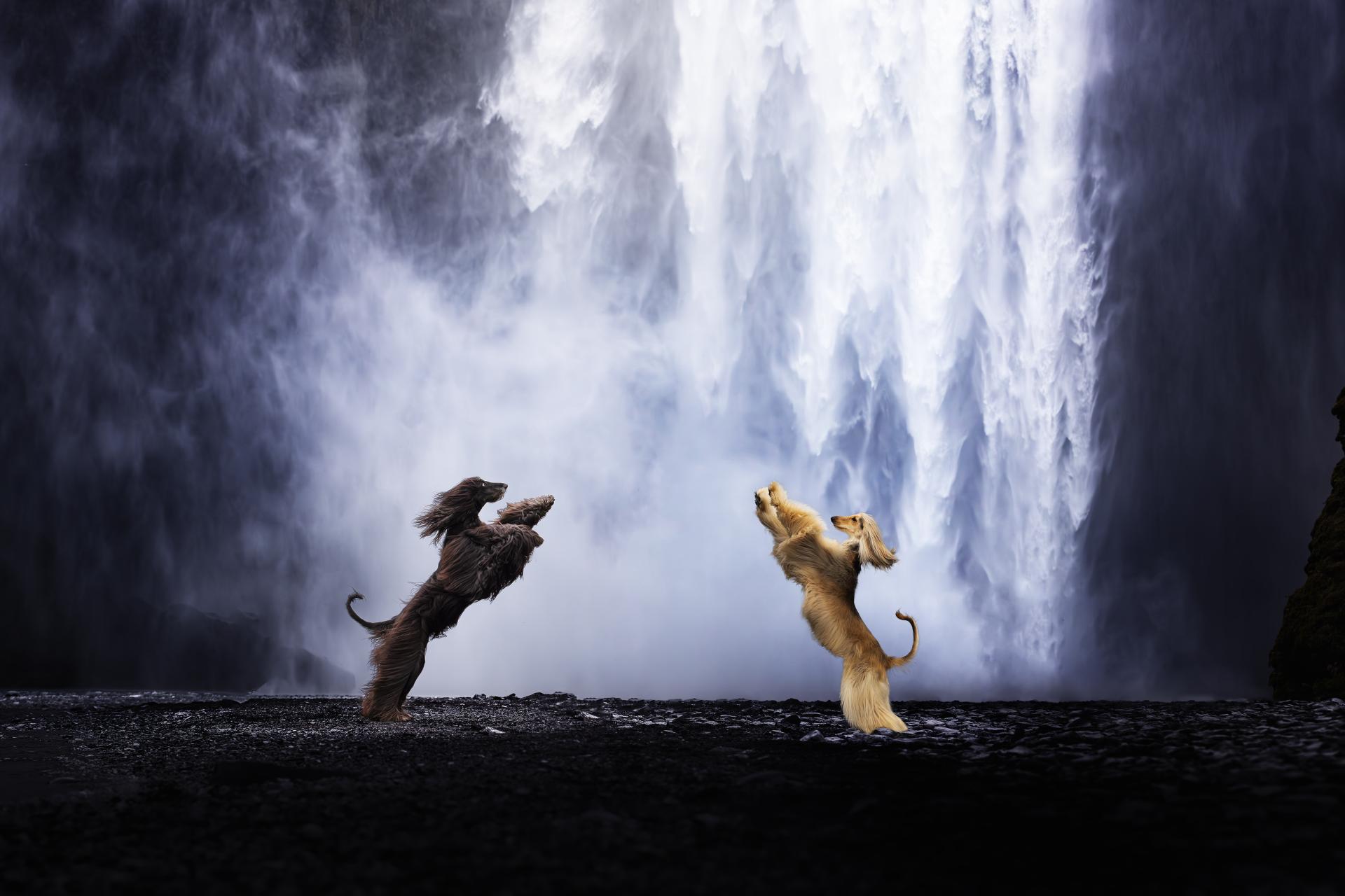 European Photography Awards Winner - Iceland Dance