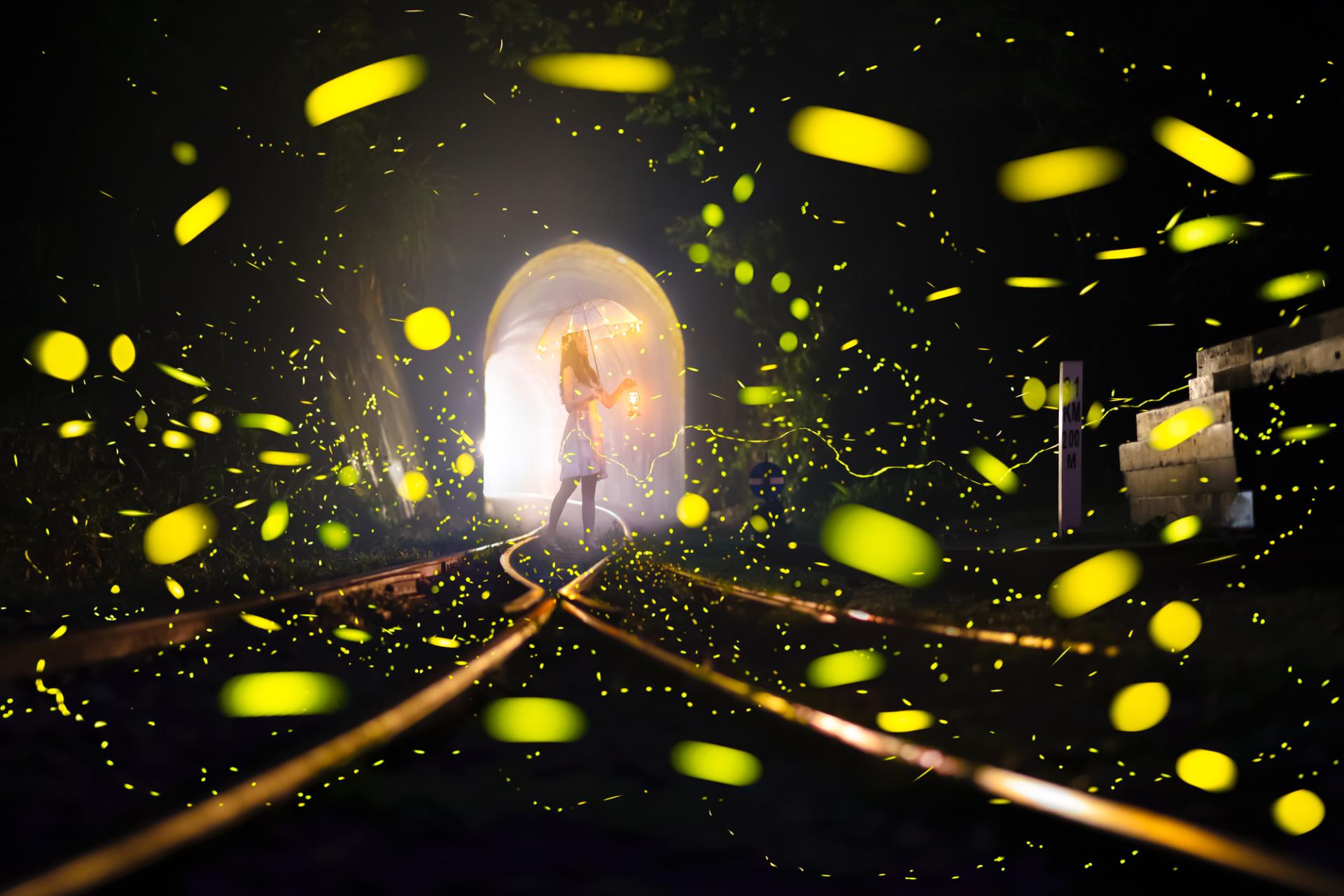 European Photography Awards Winner - Dreamy firefly 