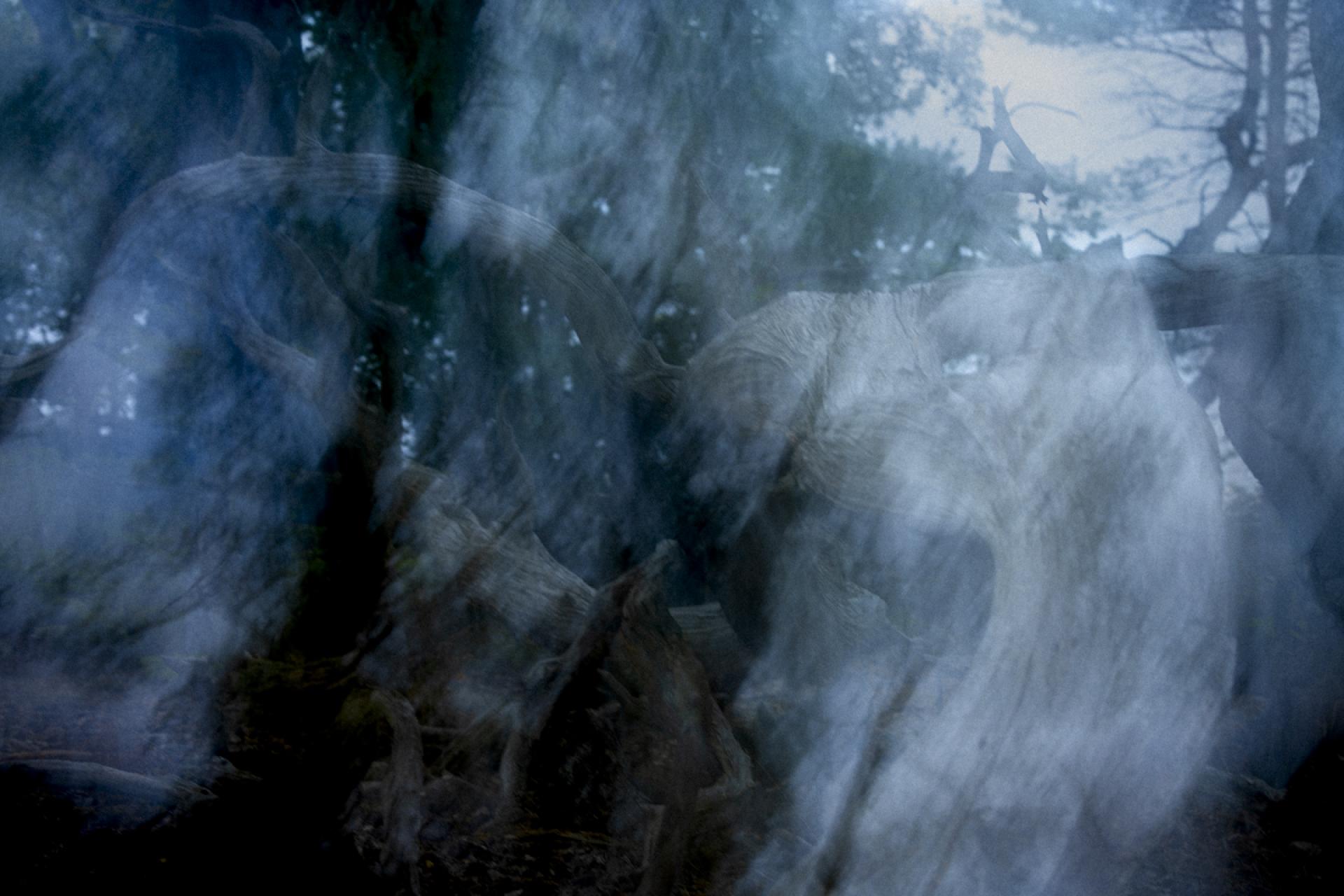 European Photography Awards Winner - Destiny's steed