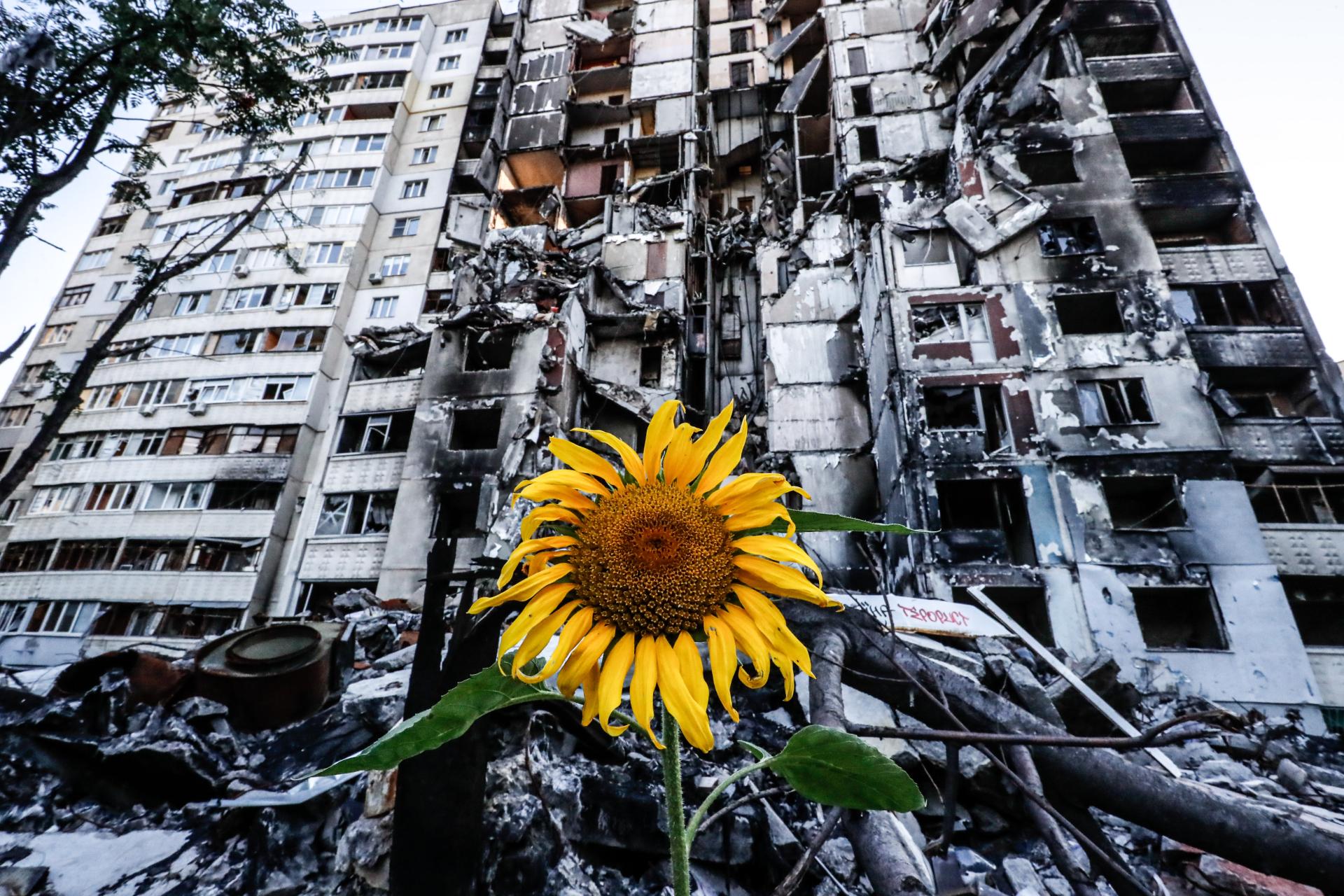 European Photography Awards Winner - The Unconquered Ukrainians 