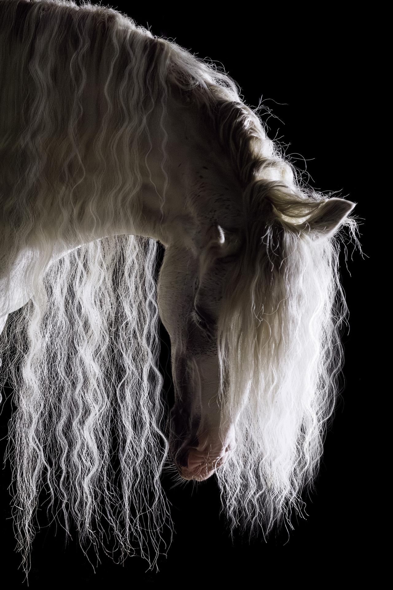 European Photography Awards Winner - Angel's Hair