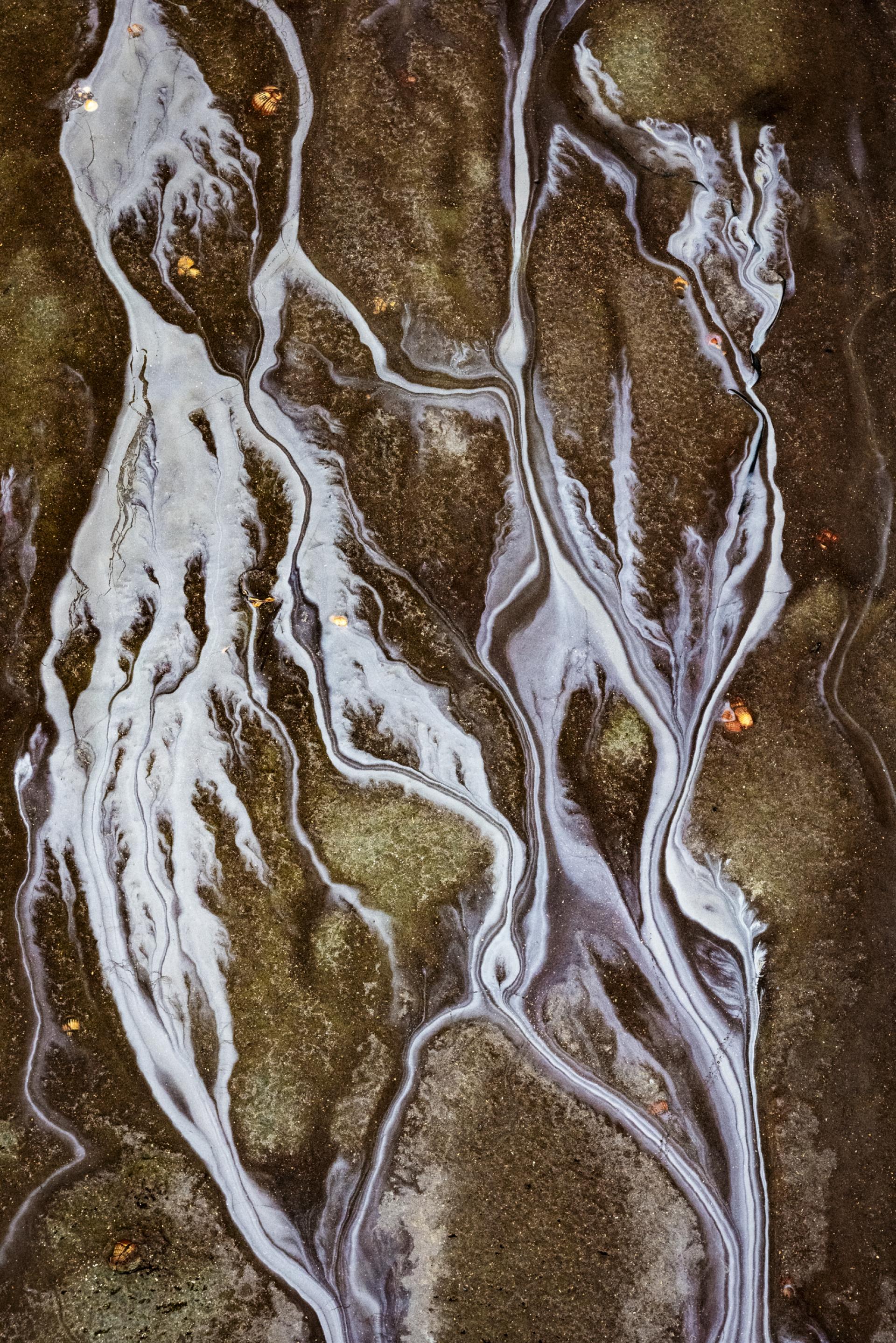 European Photography Awards Winner - 