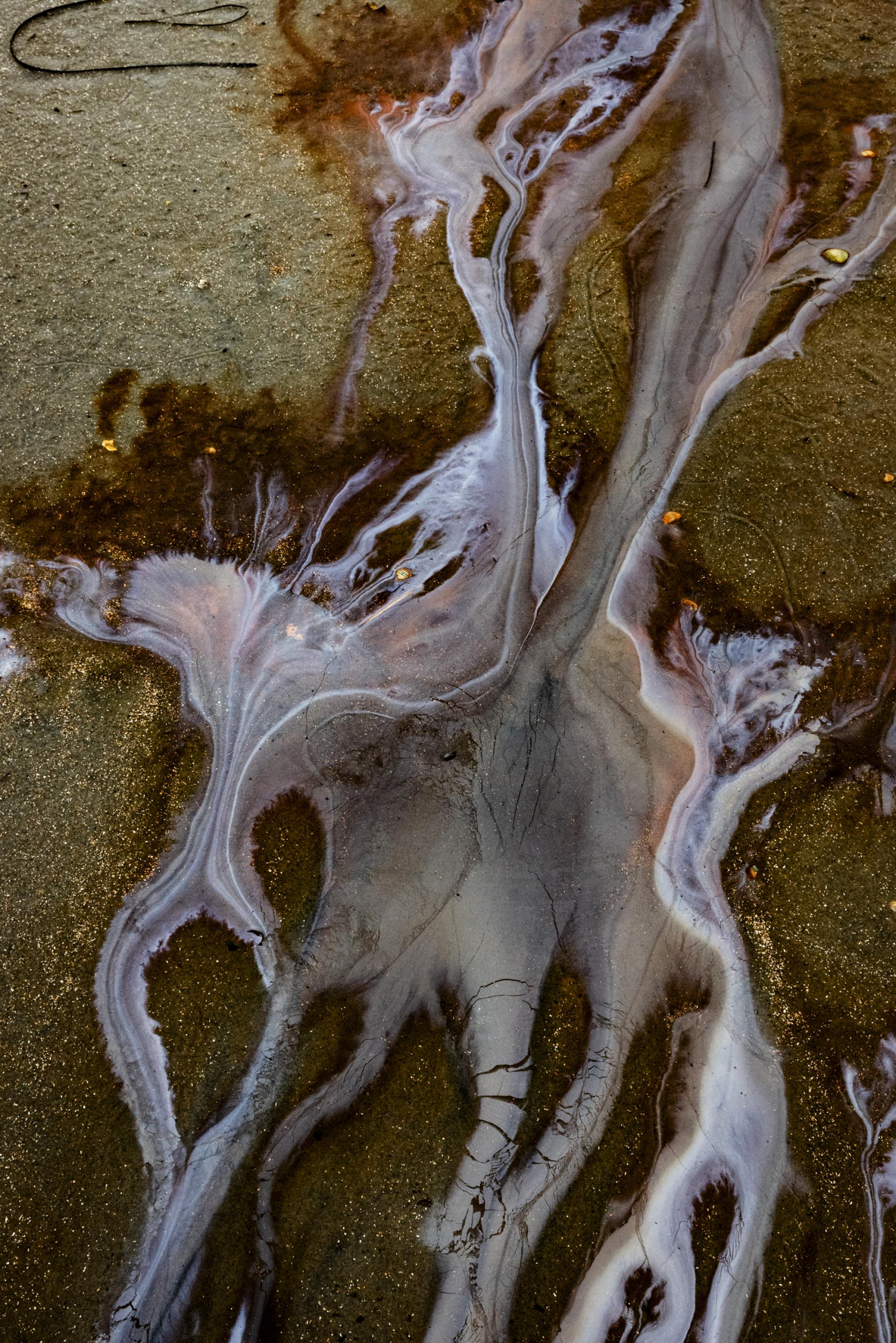 European Photography Awards Winner - 