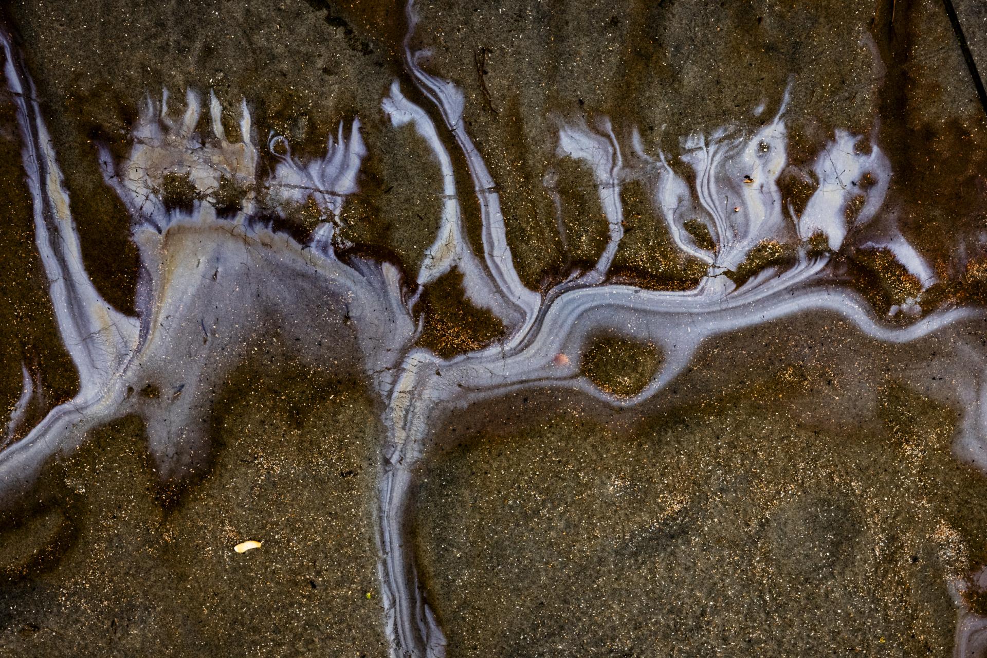 European Photography Awards Winner - 