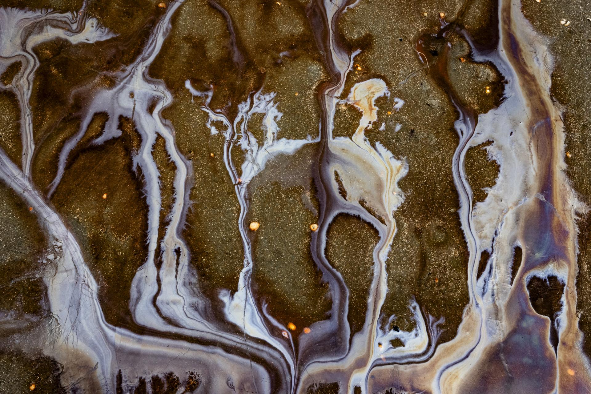 European Photography Awards Winner - 