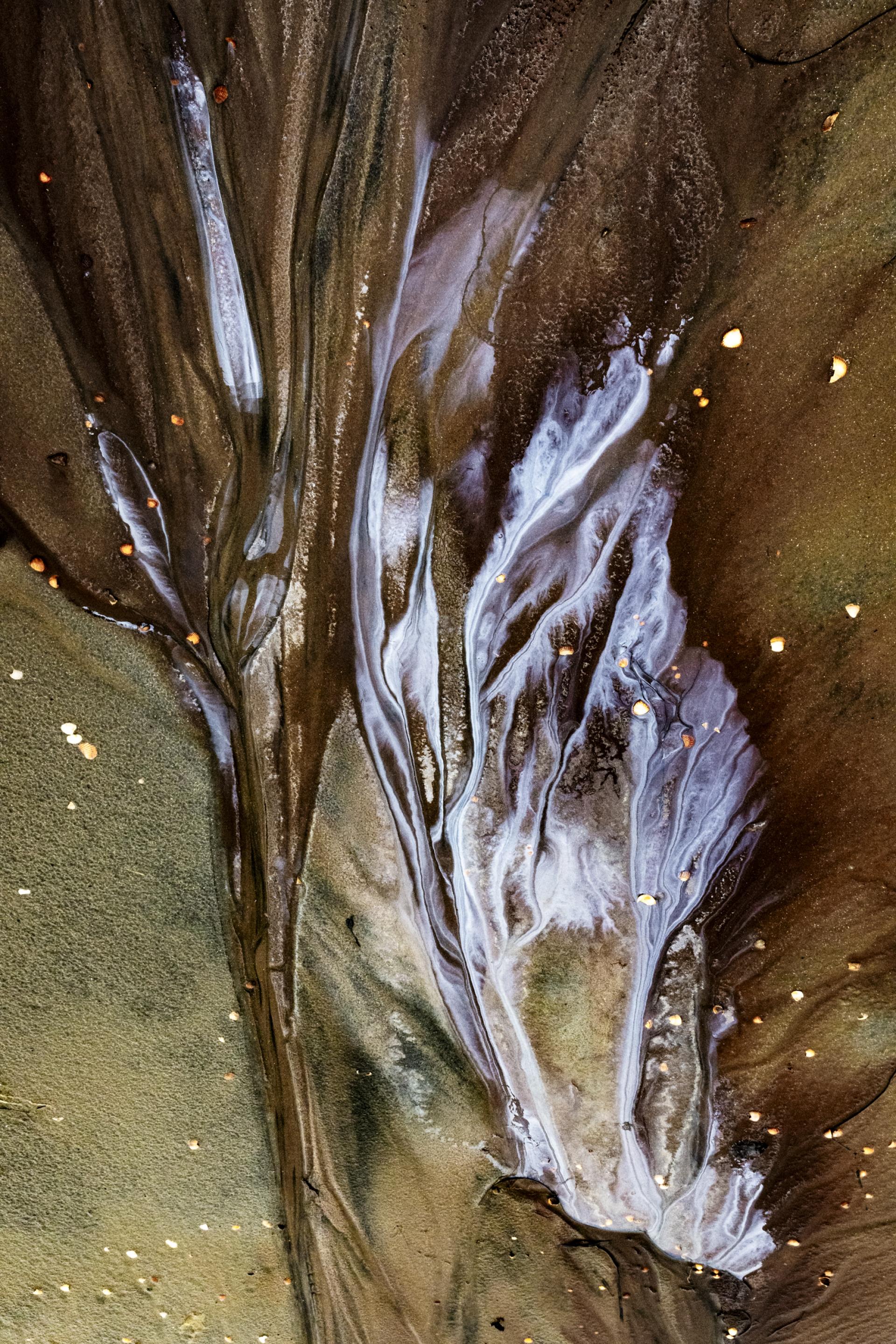 European Photography Awards Winner - 