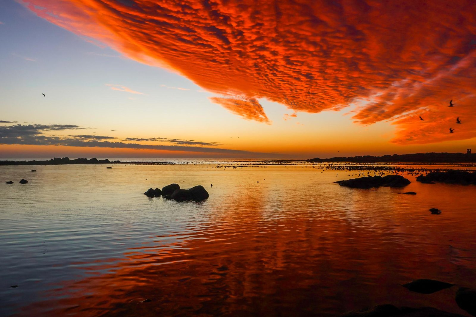 European Photography Awards Winner - Reflections