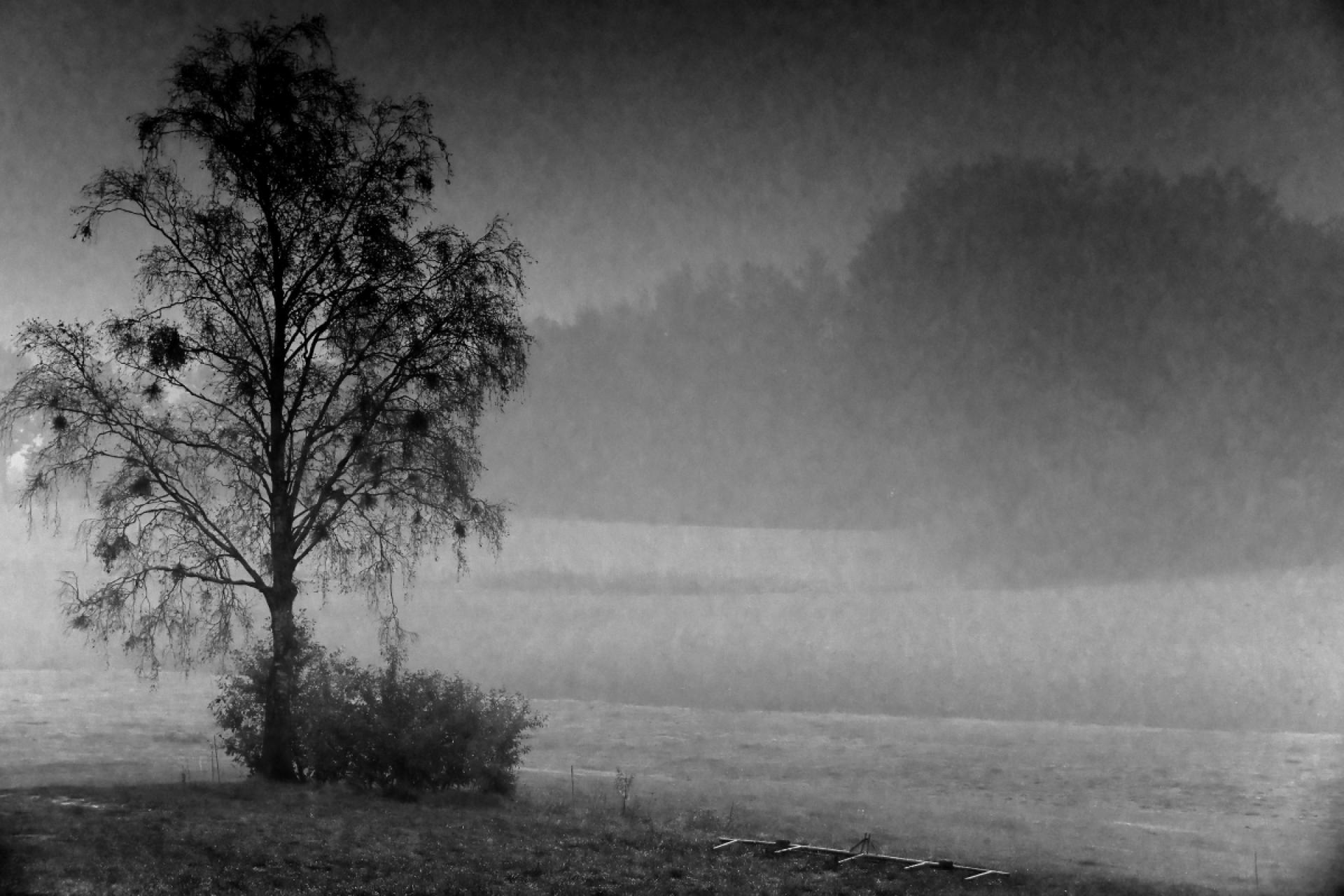 European Photography Awards Winner - Trip across landscape tonality