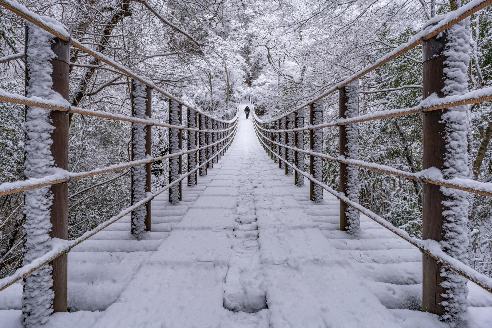 European Photography Awards Winner - Monochromatic Silence