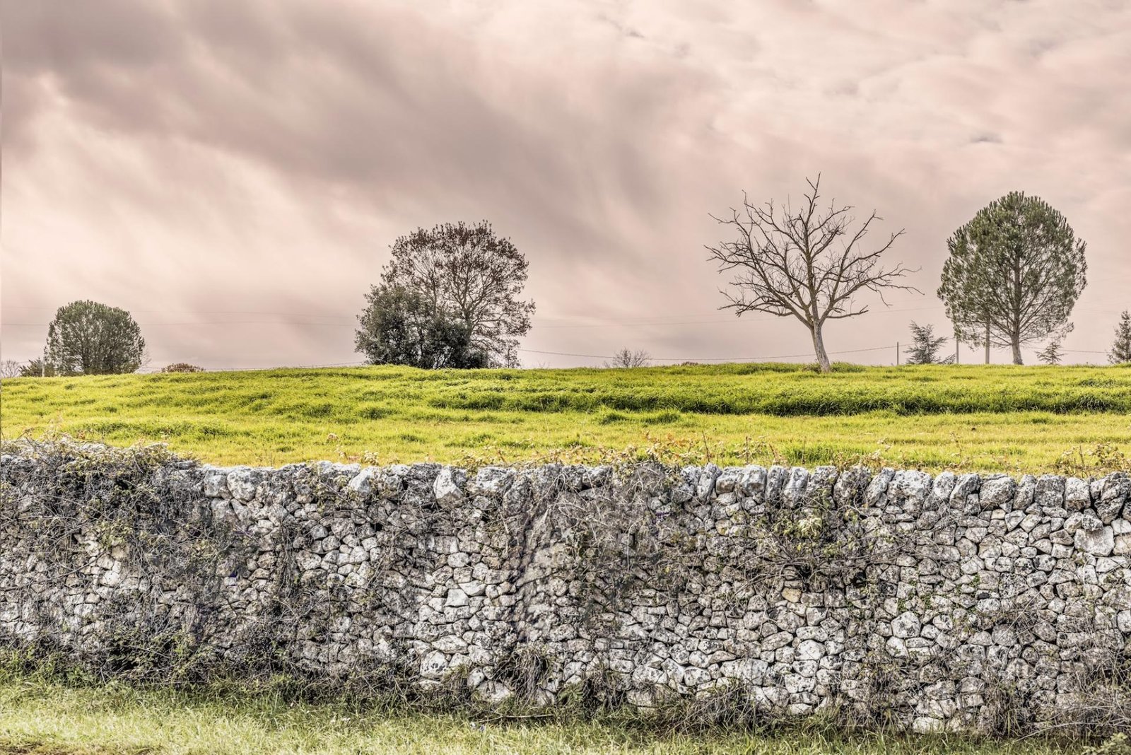 European Photography Awards Winner - Stone Tales