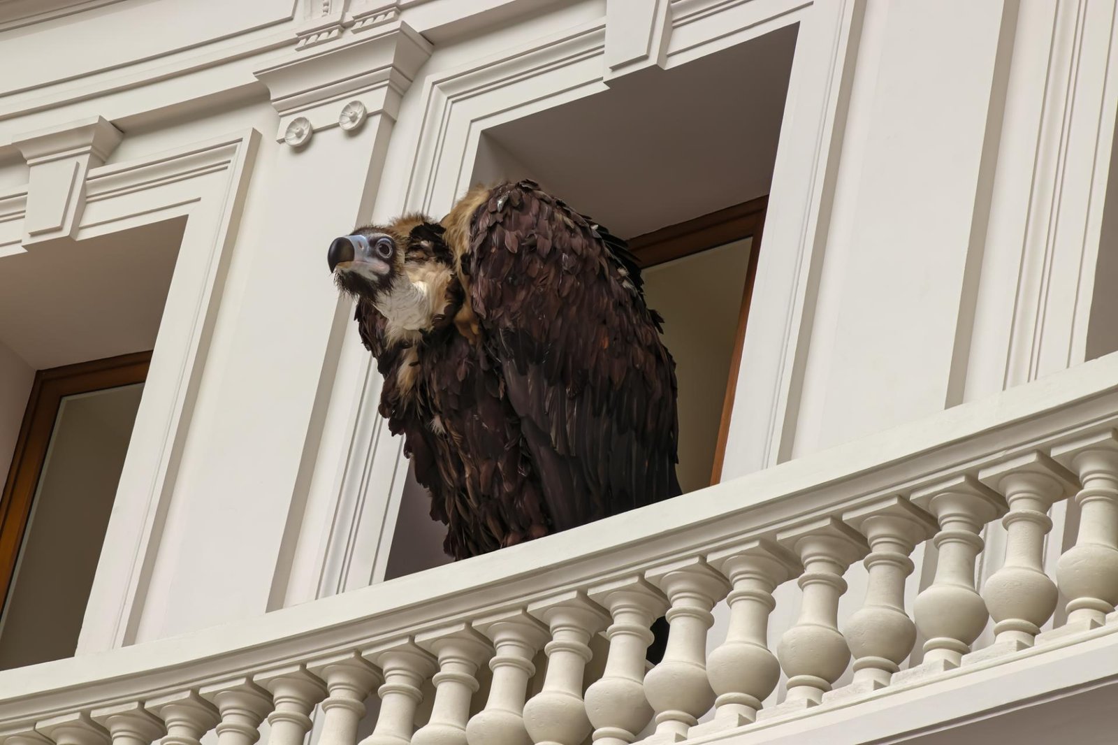 European Photography Awards Winner - Bourse
