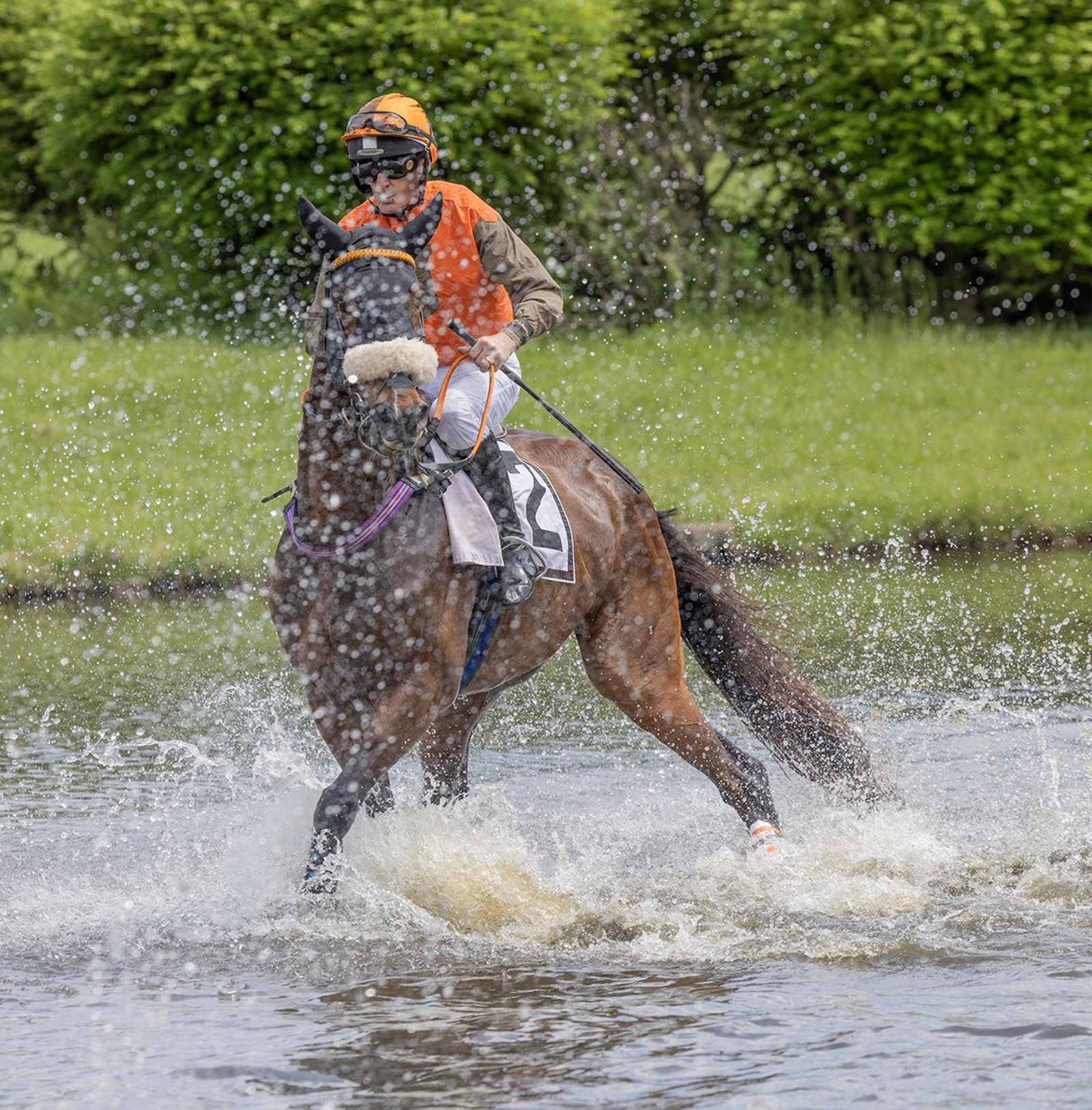 European Photography Awards Winner - Splish Splash I Was