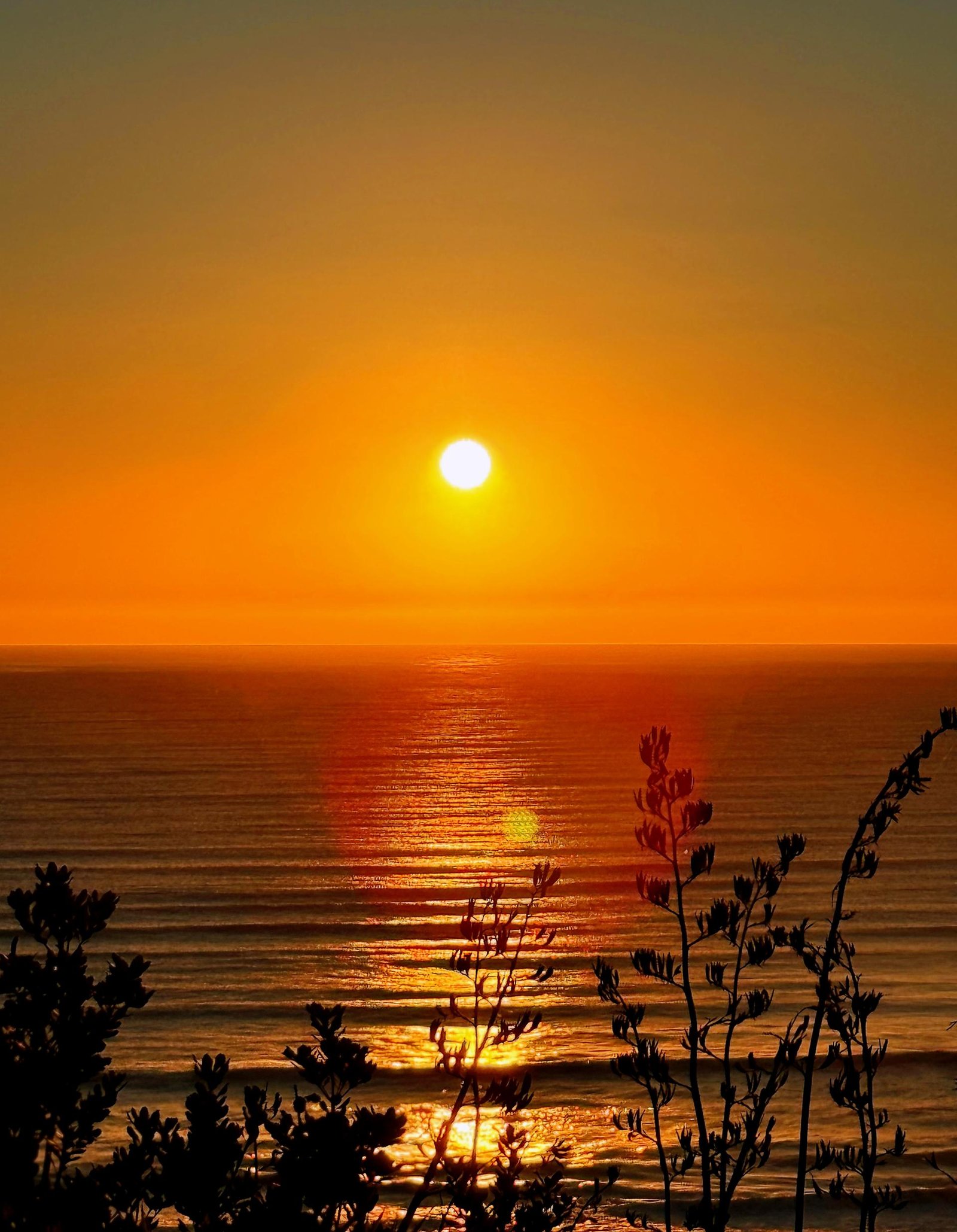 European Photography Awards Winner - Radiance of Sunset